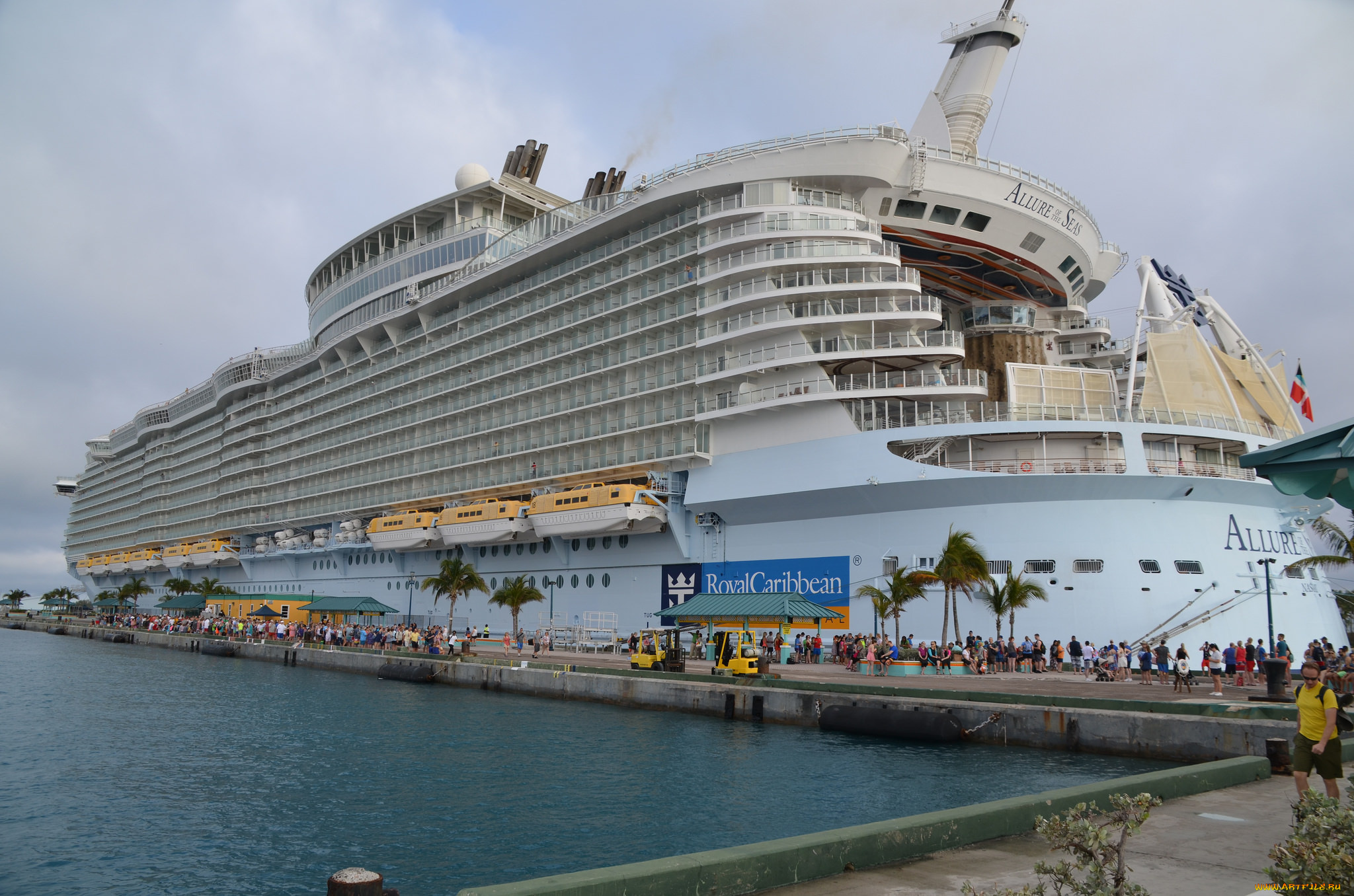 allure, of, the, seas, корабли, лайнеры, круиз, лайнер