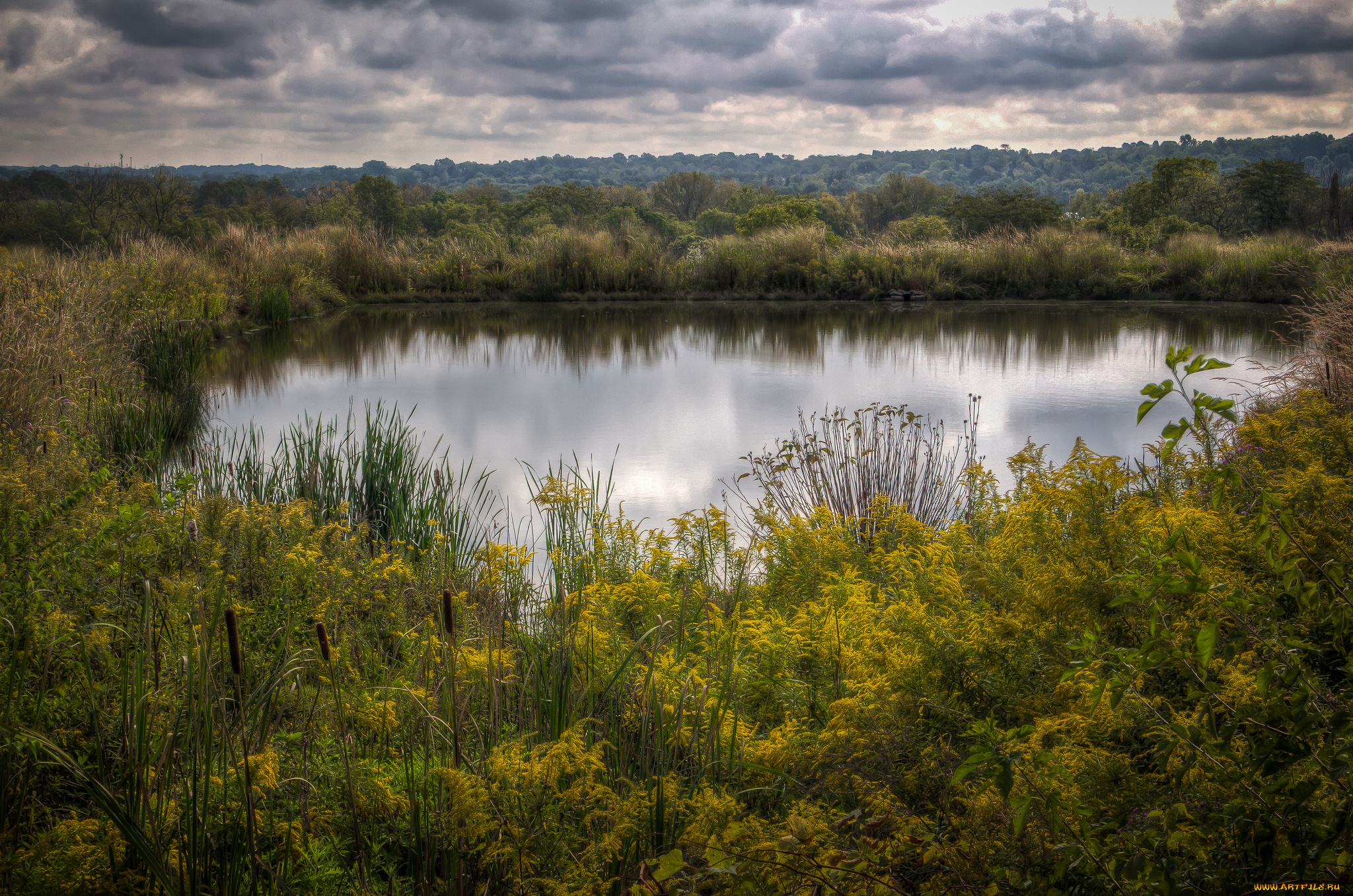 природа, реки, озера, простор