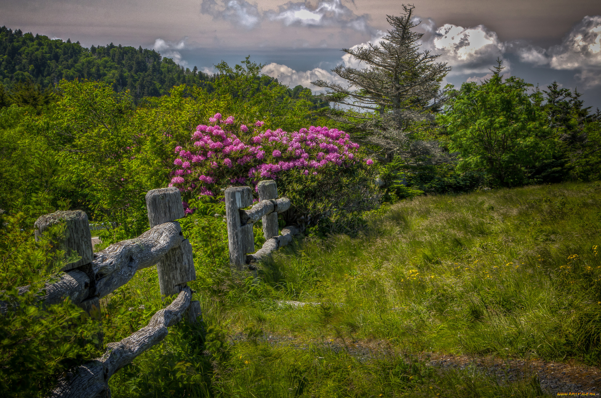 природа, пейзажи, простор