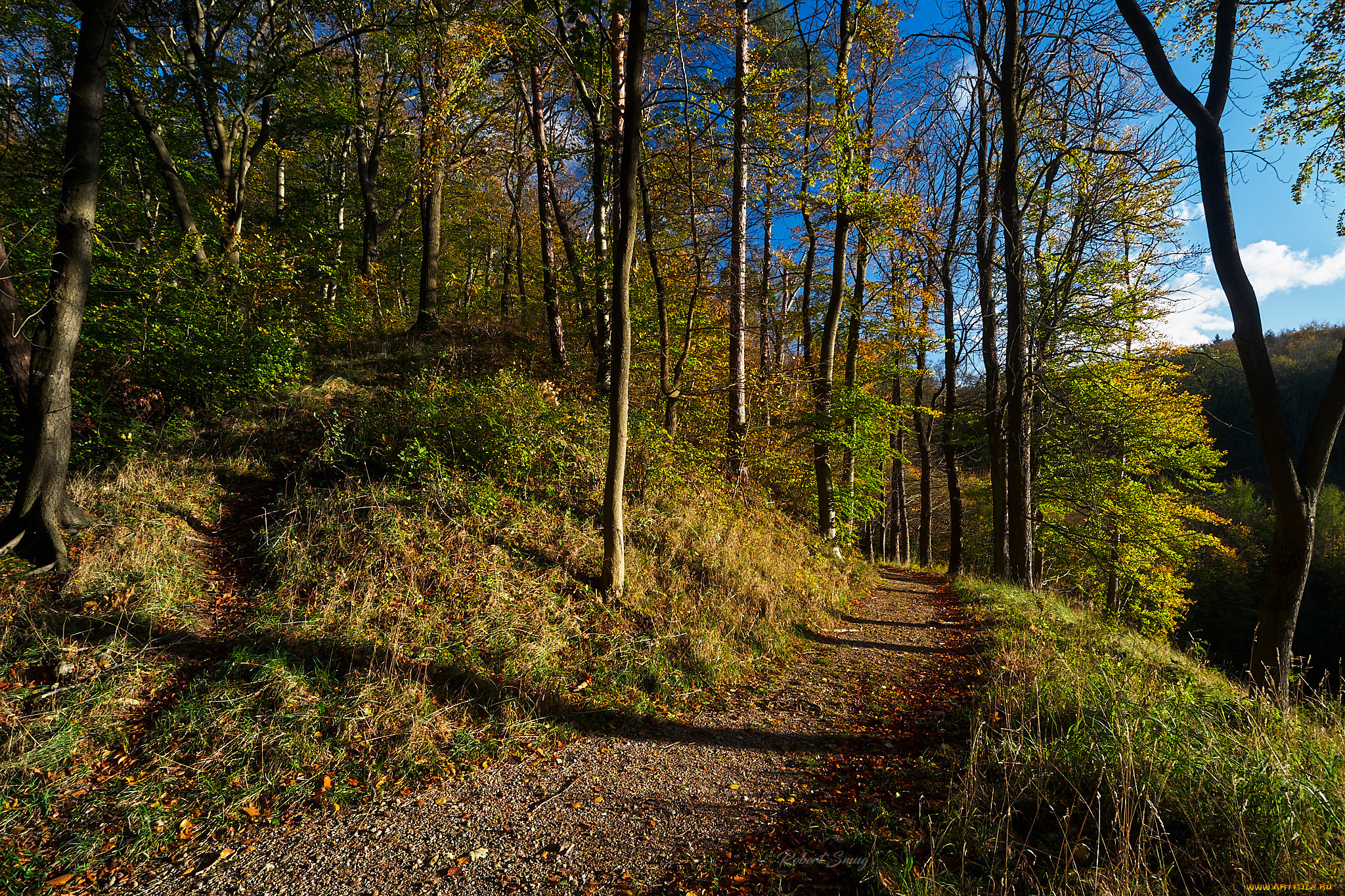 природа, дороги, простор