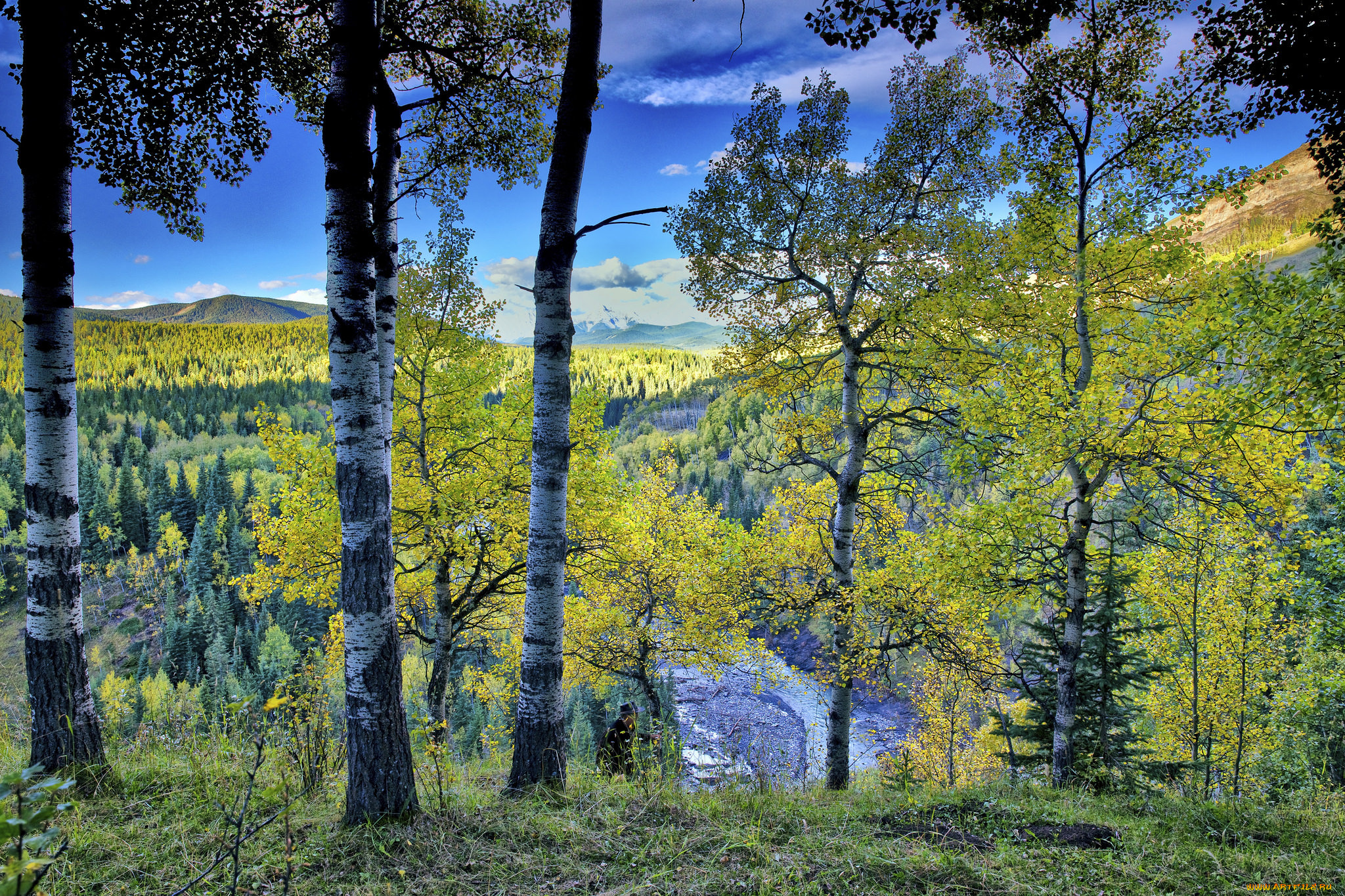 природа, пейзажи, простор