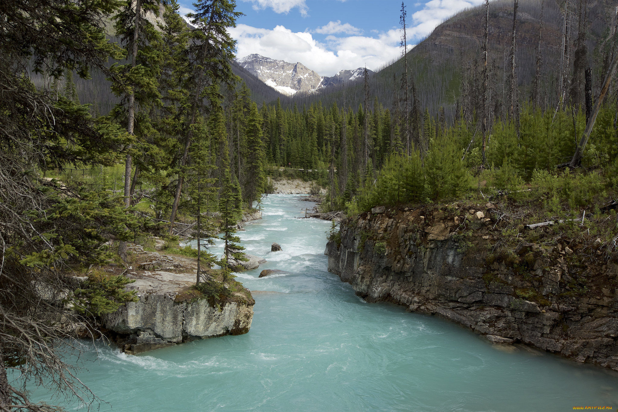 природа, реки, озера, простор