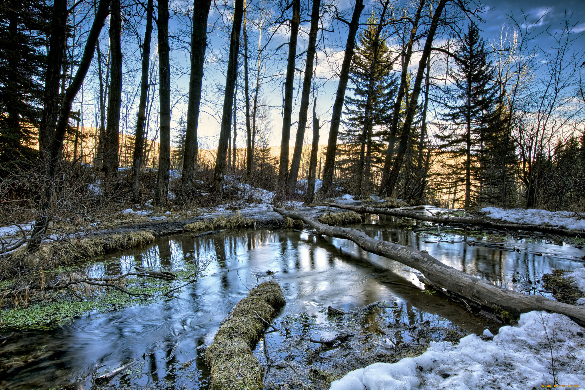 природа, реки, озера, простор