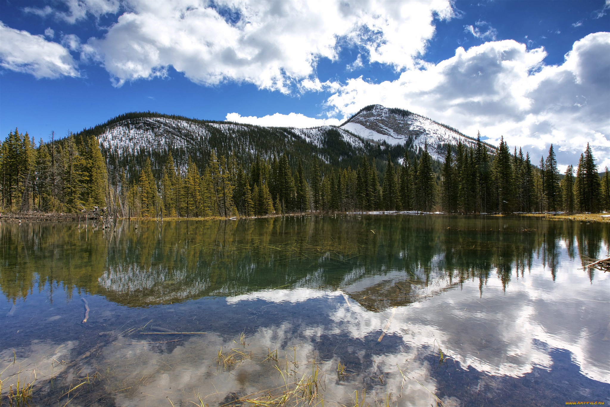 природа, реки, озера, простор