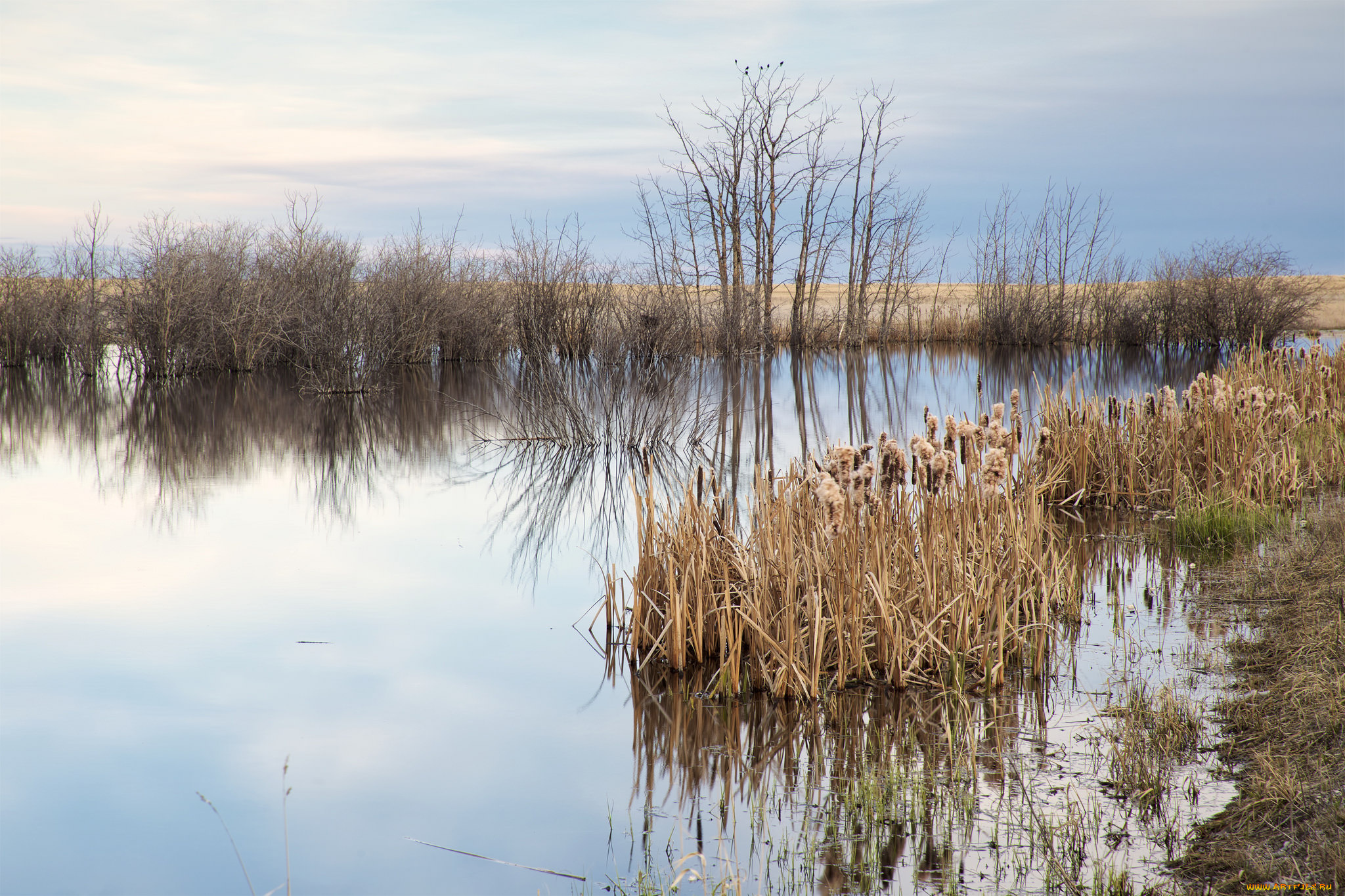 природа, реки, озера, простор