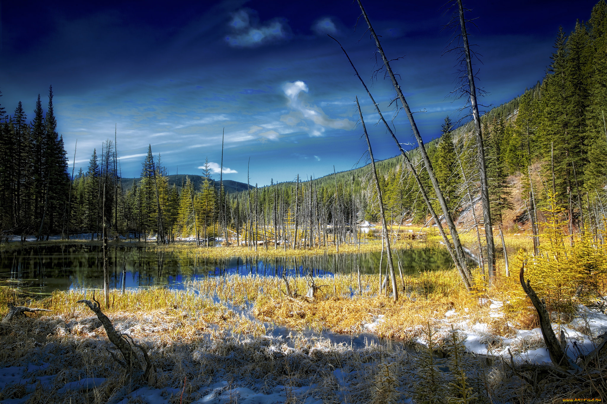 природа, реки, озера, простор