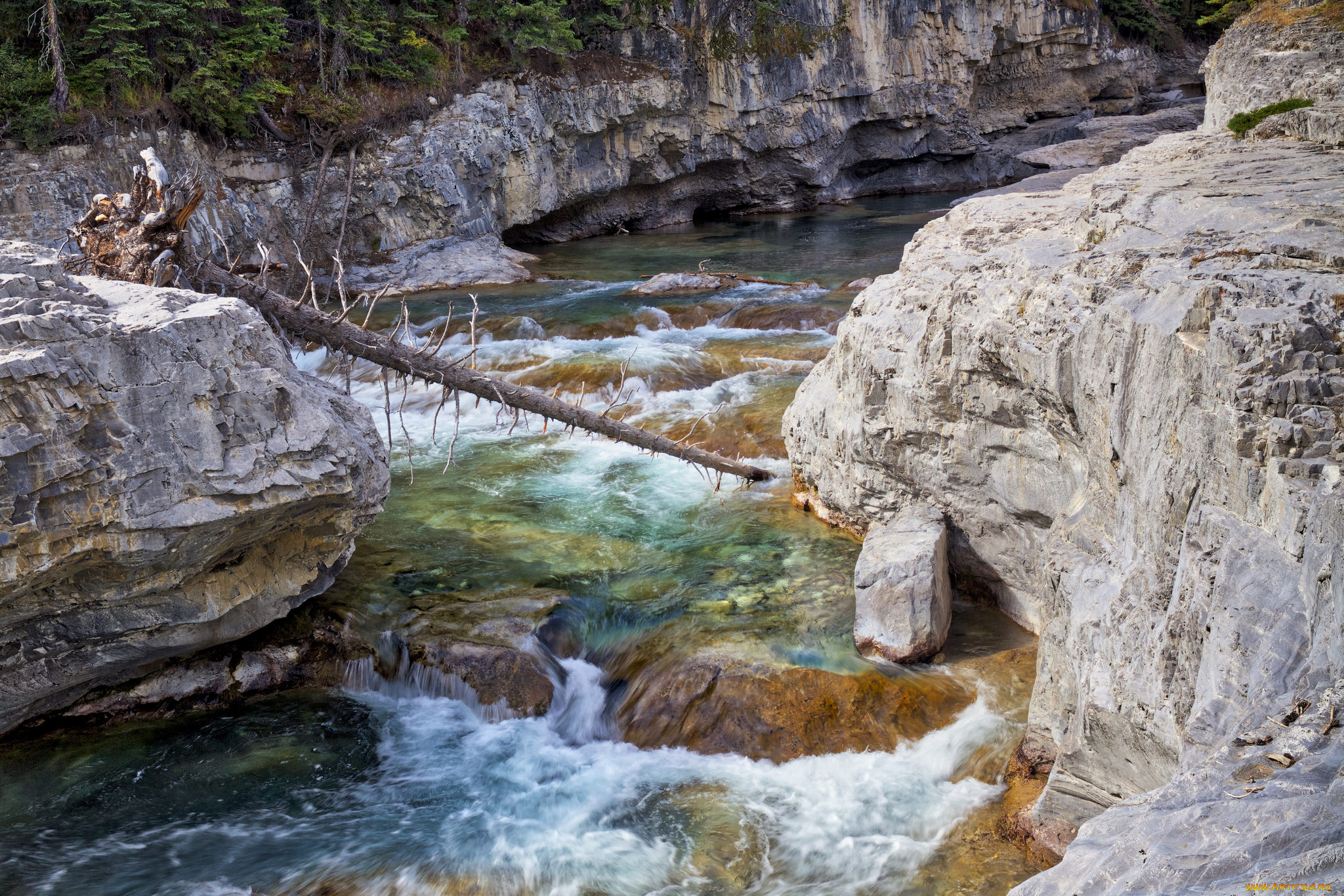 природа, реки, озера, простор