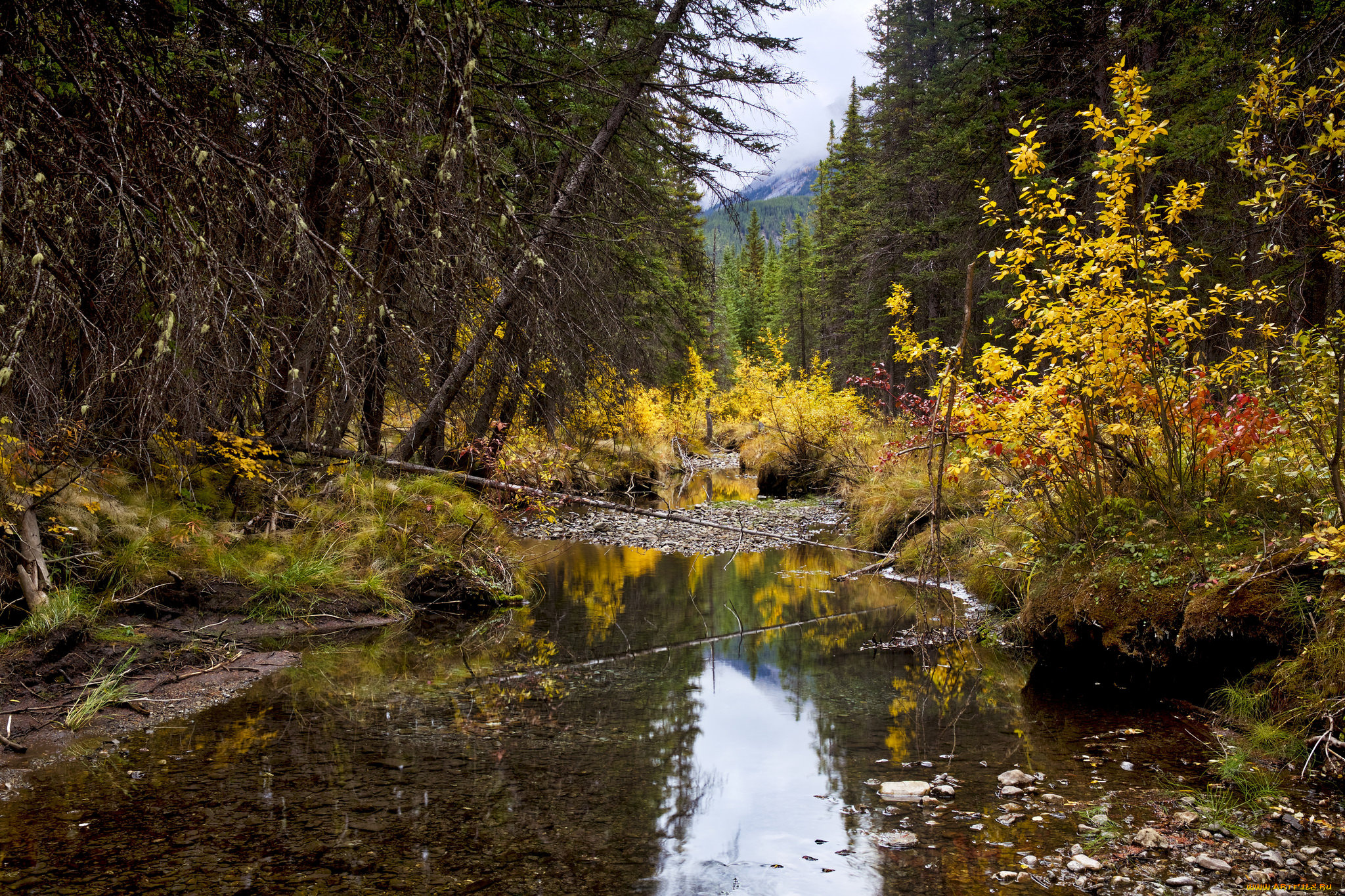 природа, реки, озера, простор