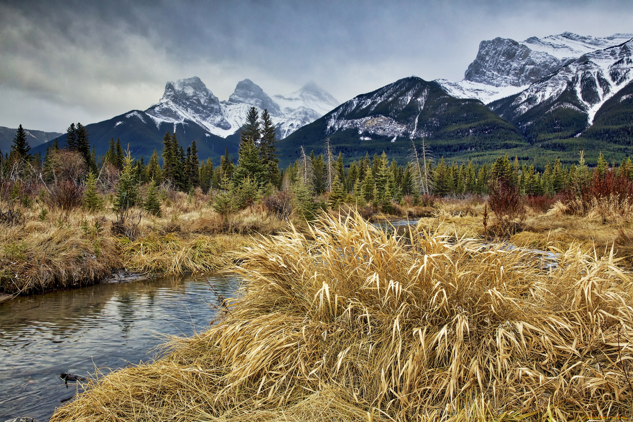 природа, реки, озера, простор