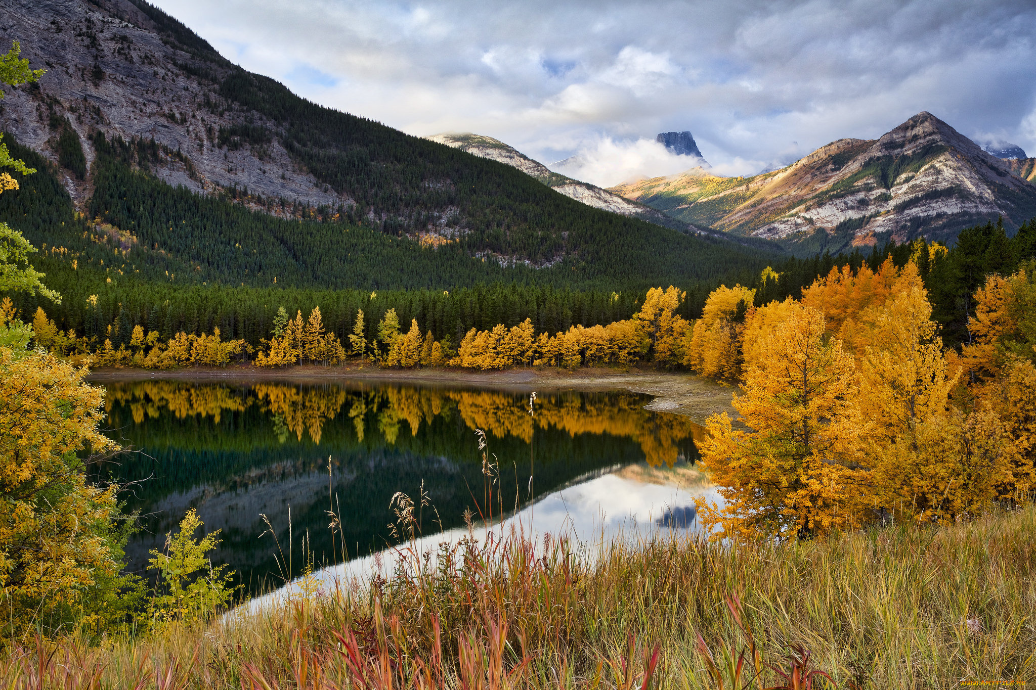 природа, реки, озера, простор