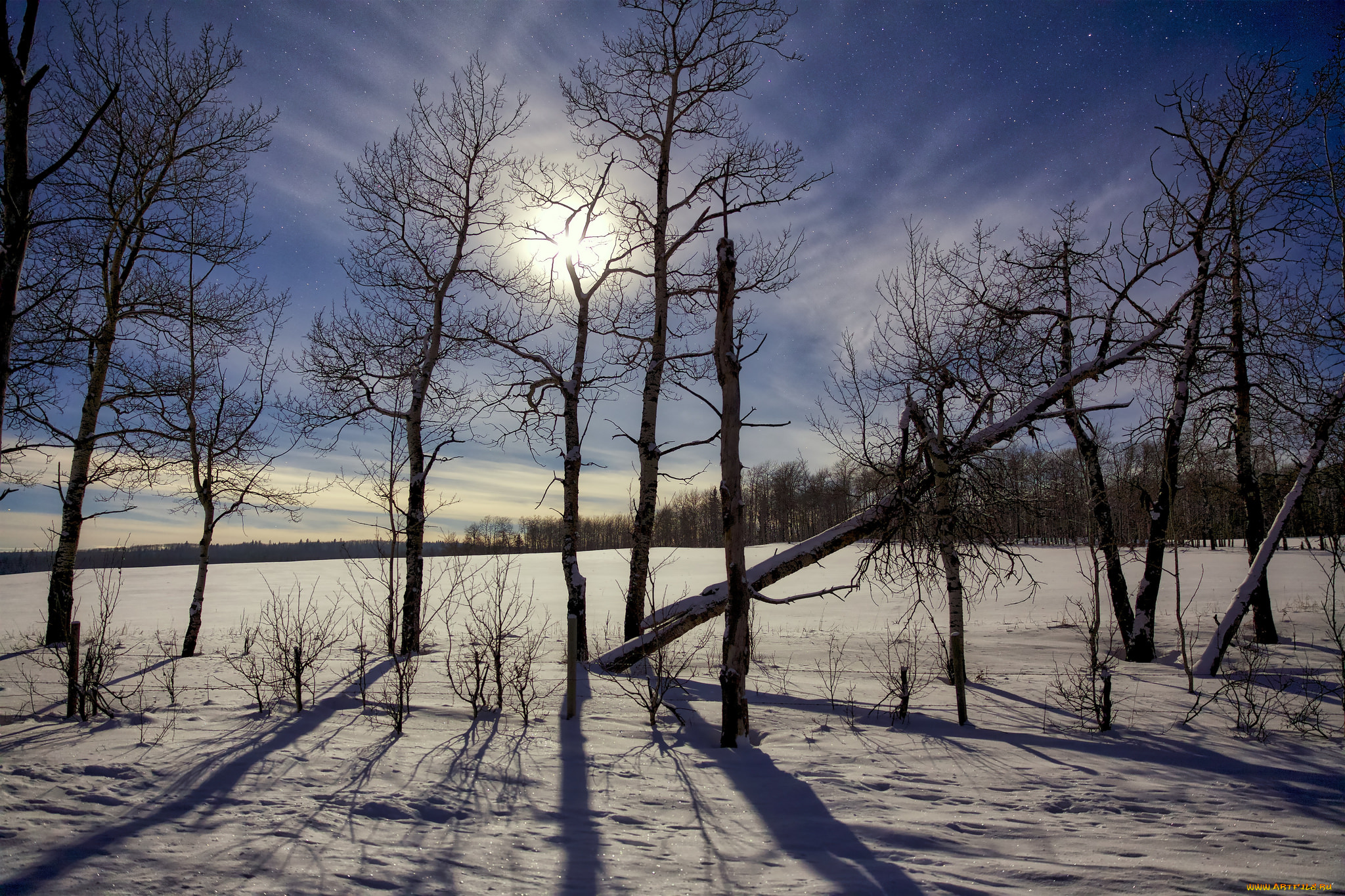природа, зима, простор