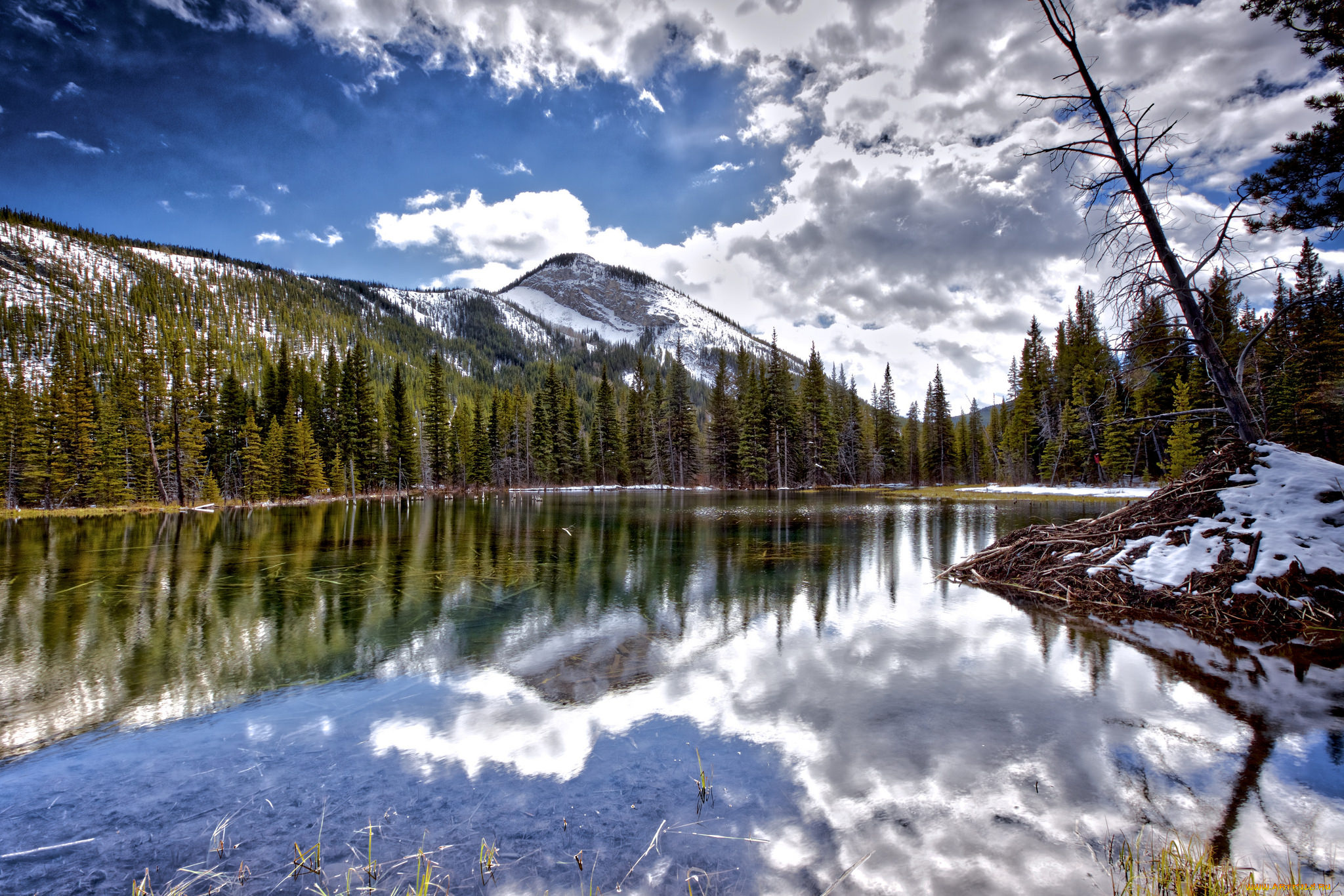 природа, реки, озера, простор