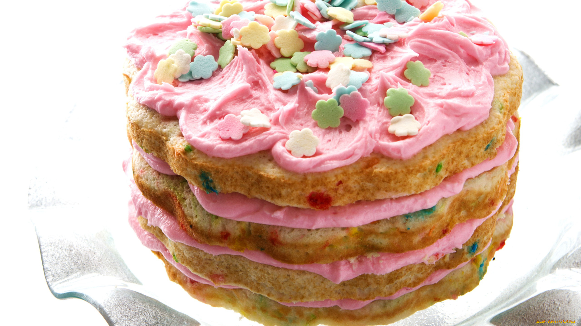 еда, торты, торт