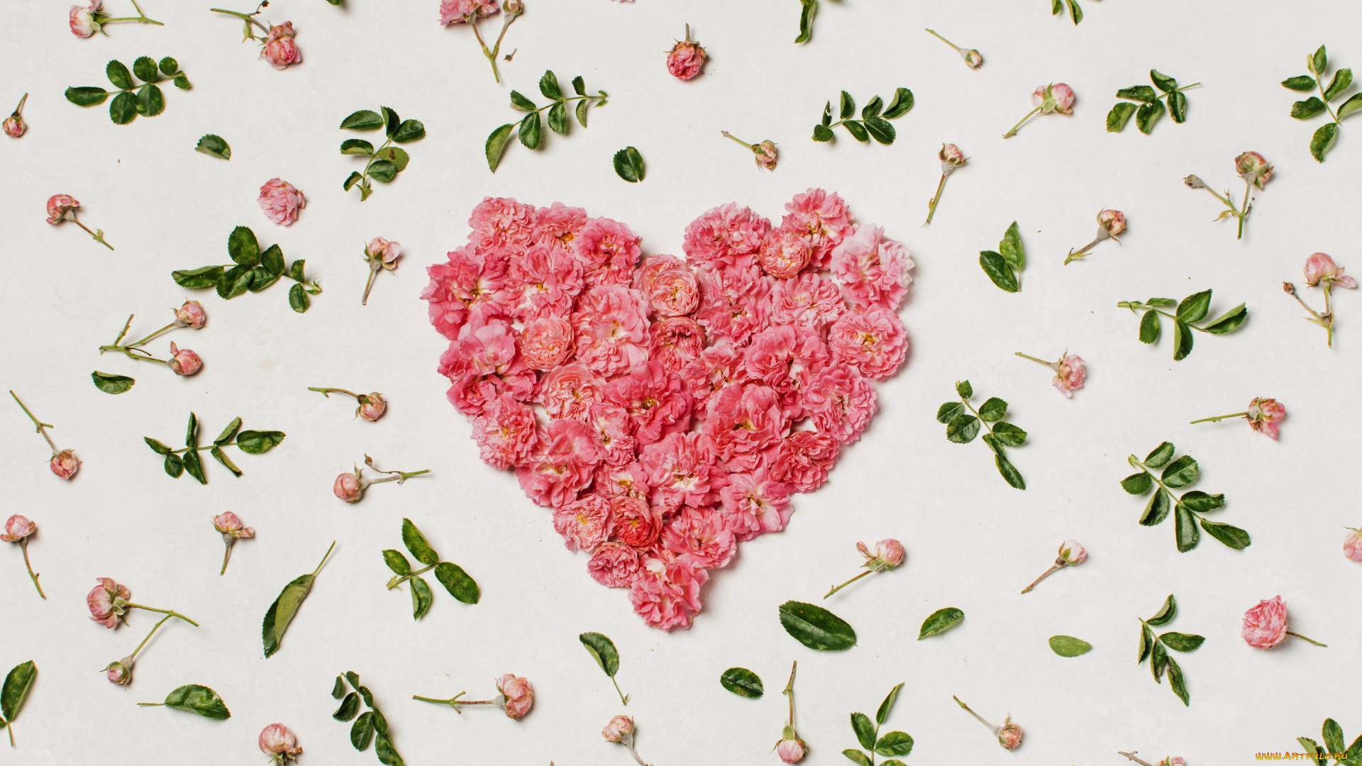 праздничные, день, святого, валентина, , сердечки, , любовь, лепестки, сердце