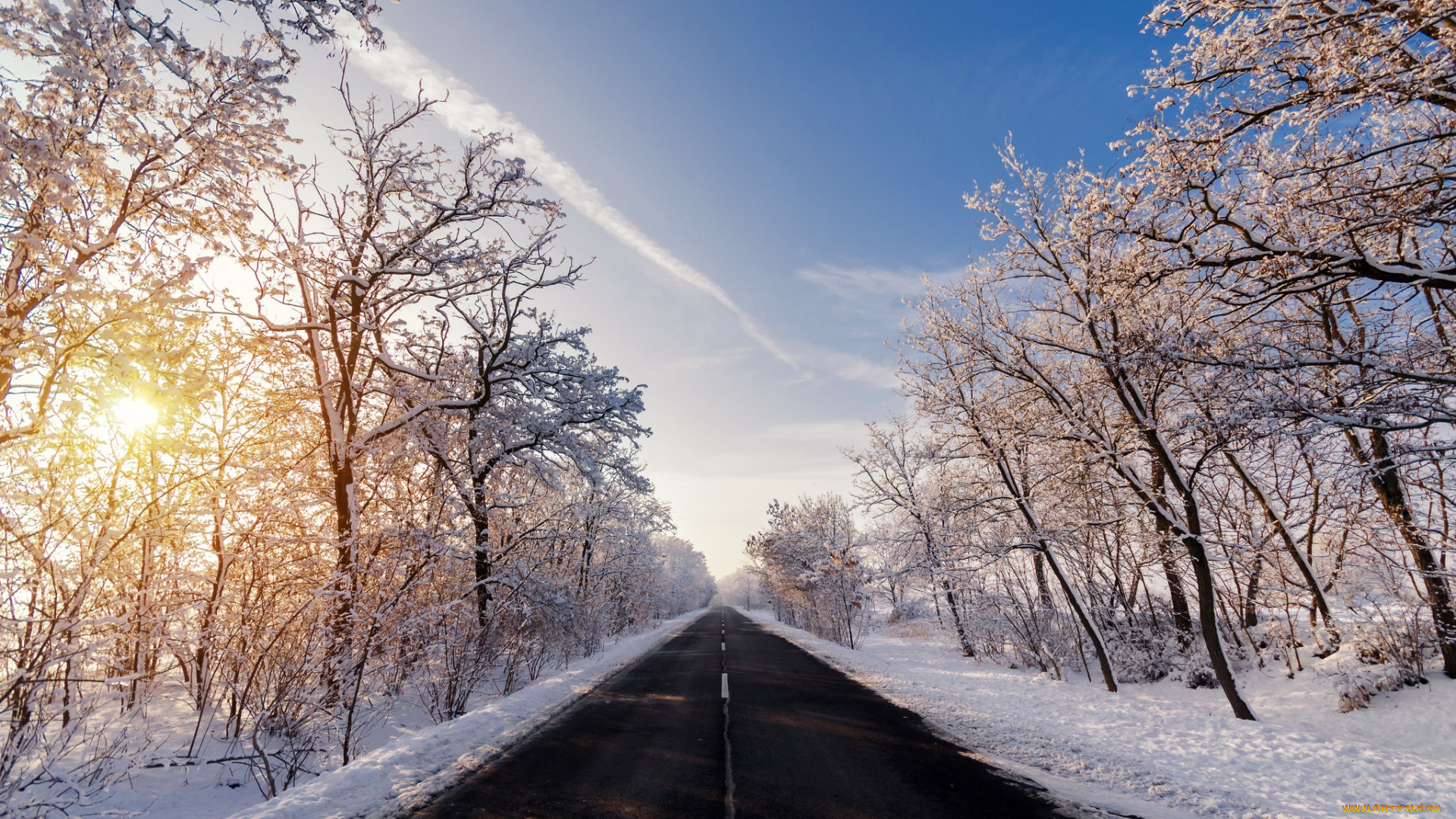 природа, дороги, дорога, зима, утро