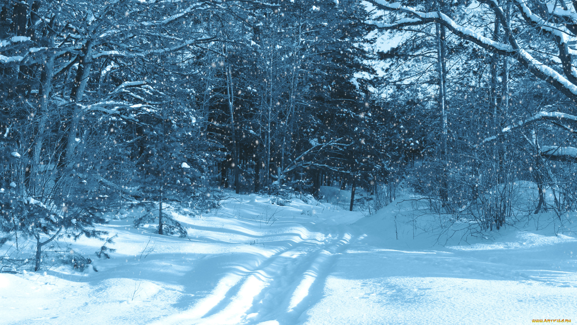 природа, зима, снег, деревья, лес