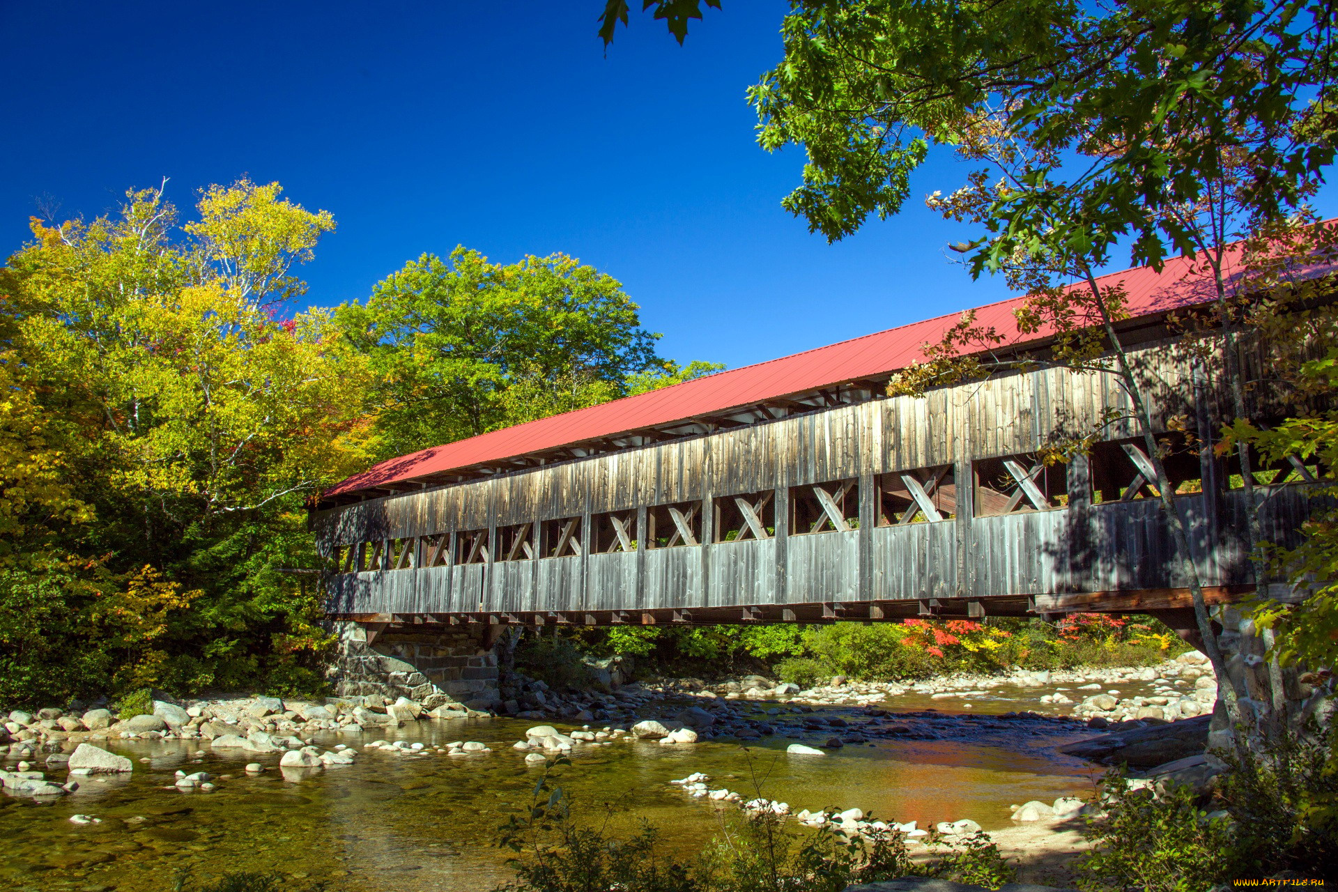 природа, реки, озера, река, мост