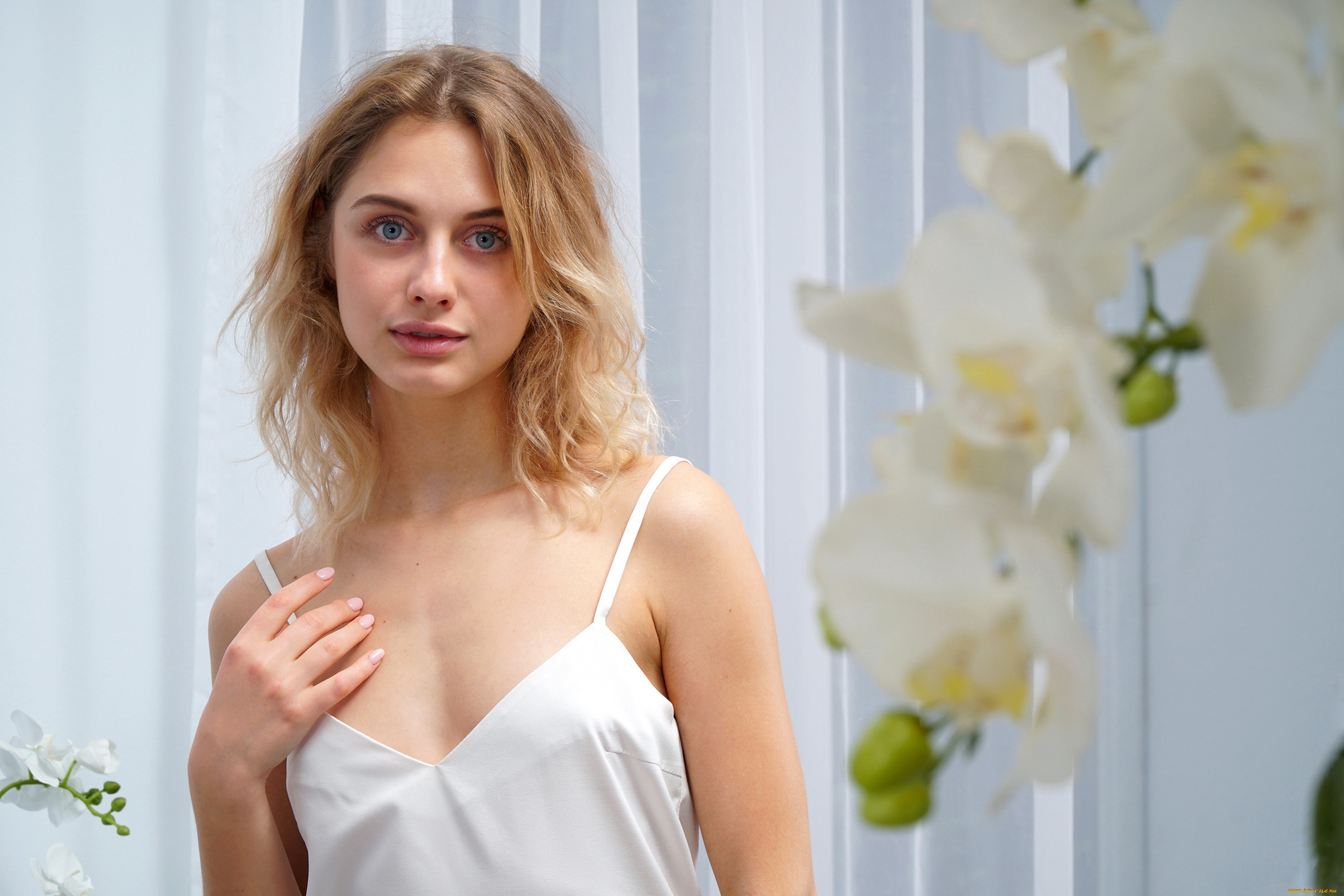 девушка, девушки, -unsort, , блондинки, , светловолосые, clarise, caress, модель