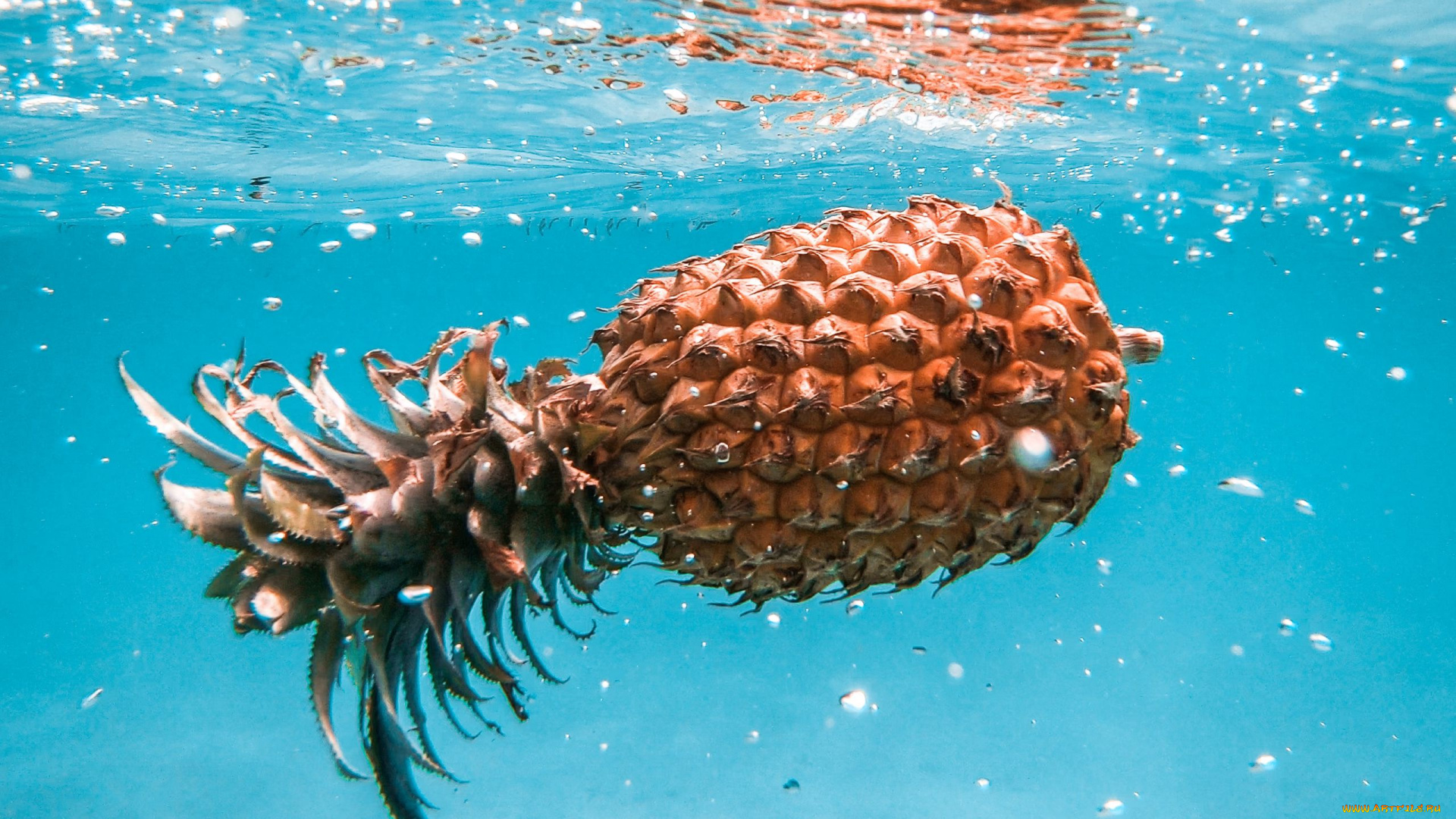 еда, ананас, экзотика