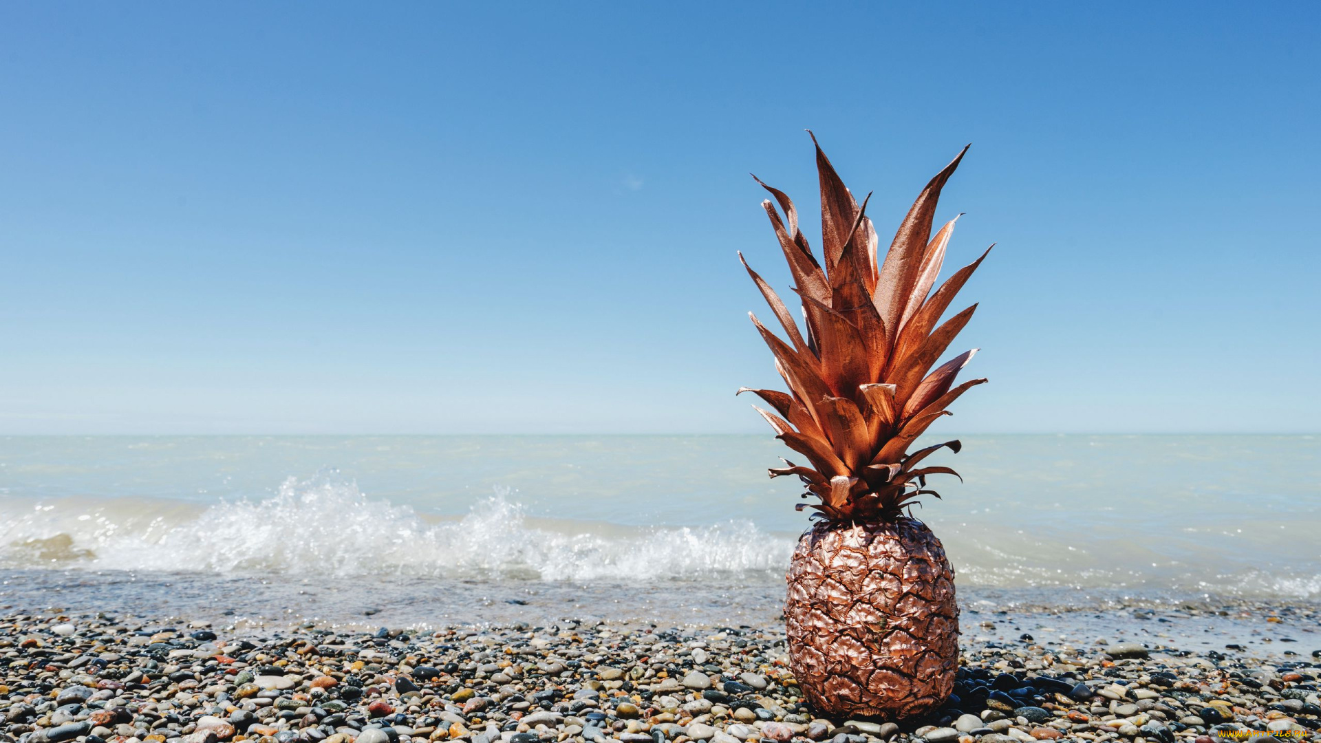 еда, ананас, экзотика