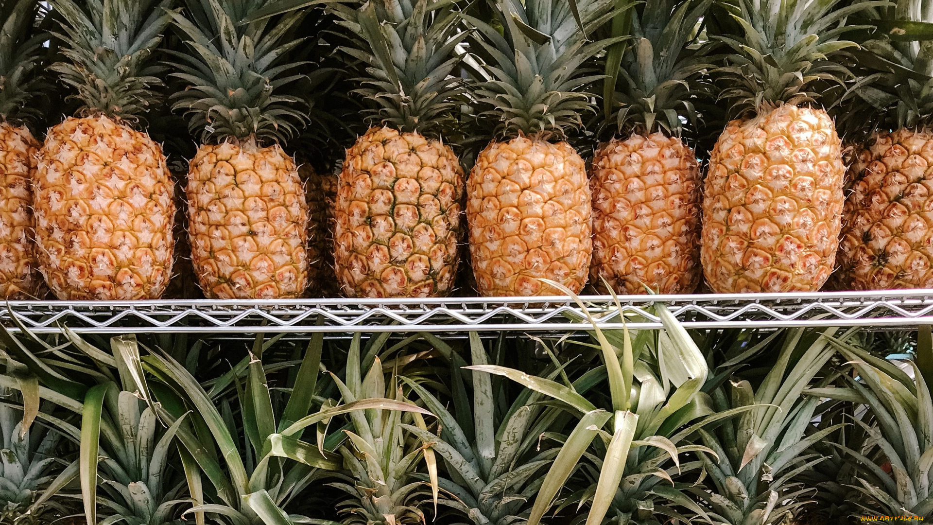 еда, ананас, экзотика