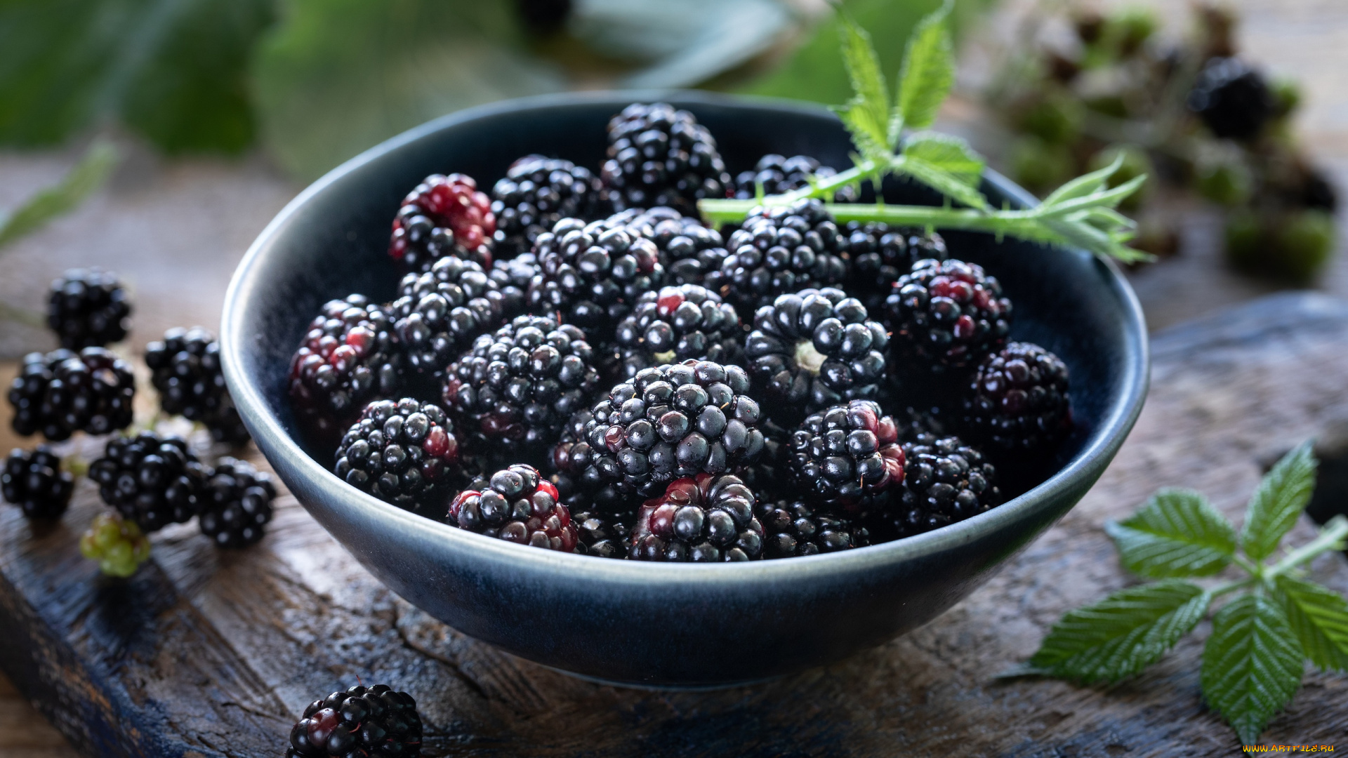 еда, ежевика