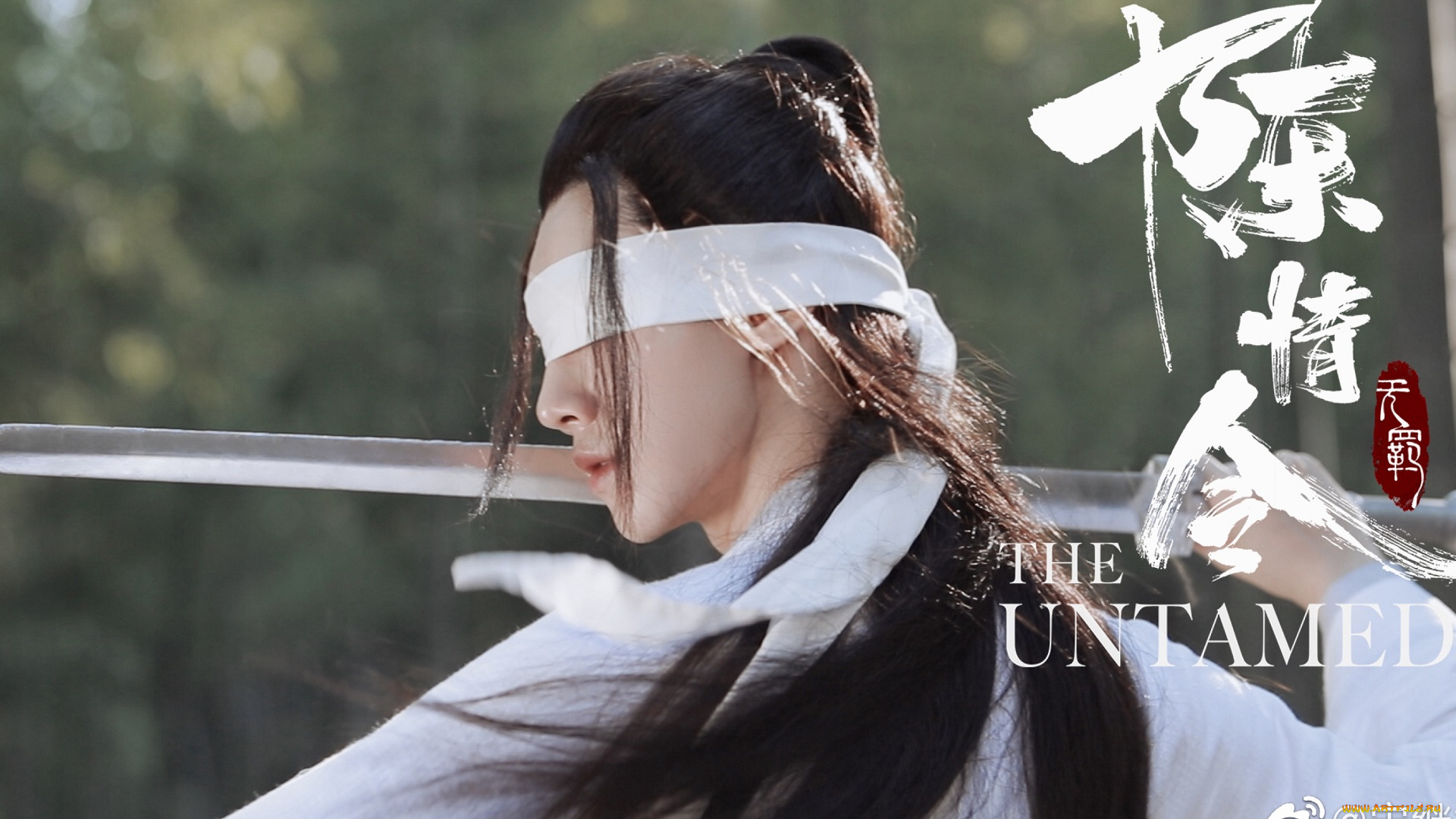 кино, фильмы, the, untamed, the, untamed, неукротимый, повелитель, чэньцин, мосян, тунсю, mo, dao, zu, shi, магистр, дьявольского, культа