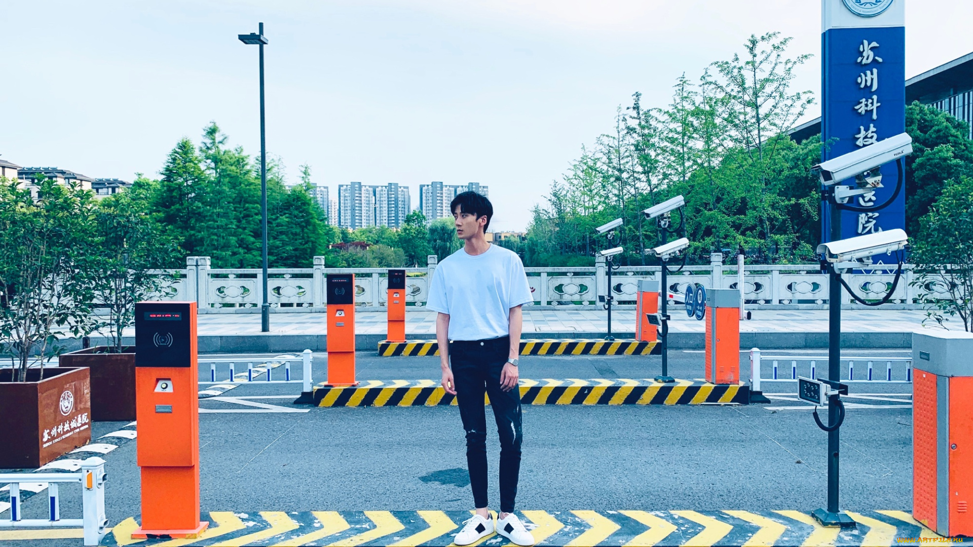 мужчины, li, bo, wen, li, bo, wen