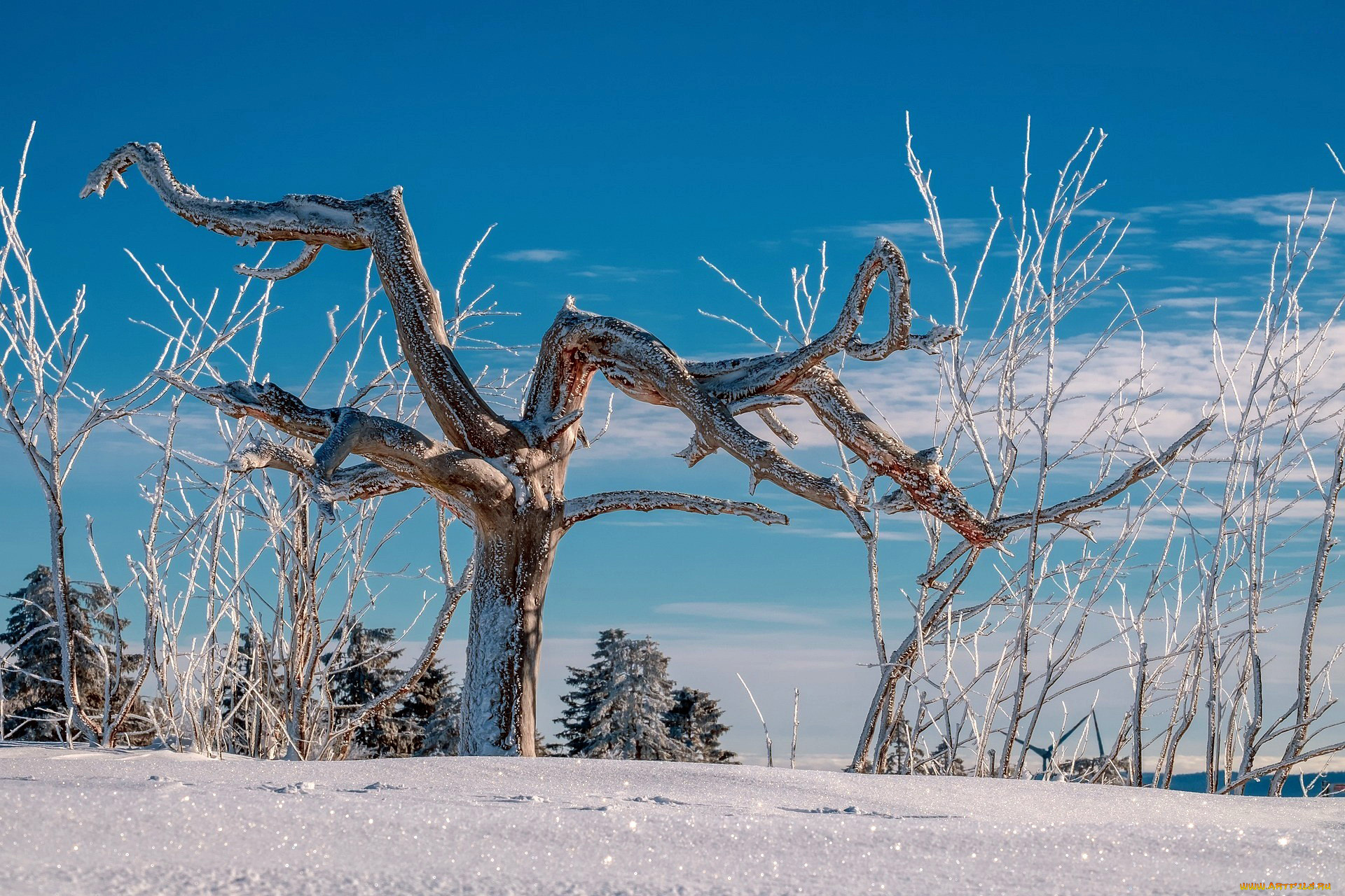 природа, зима, снег, сугробы