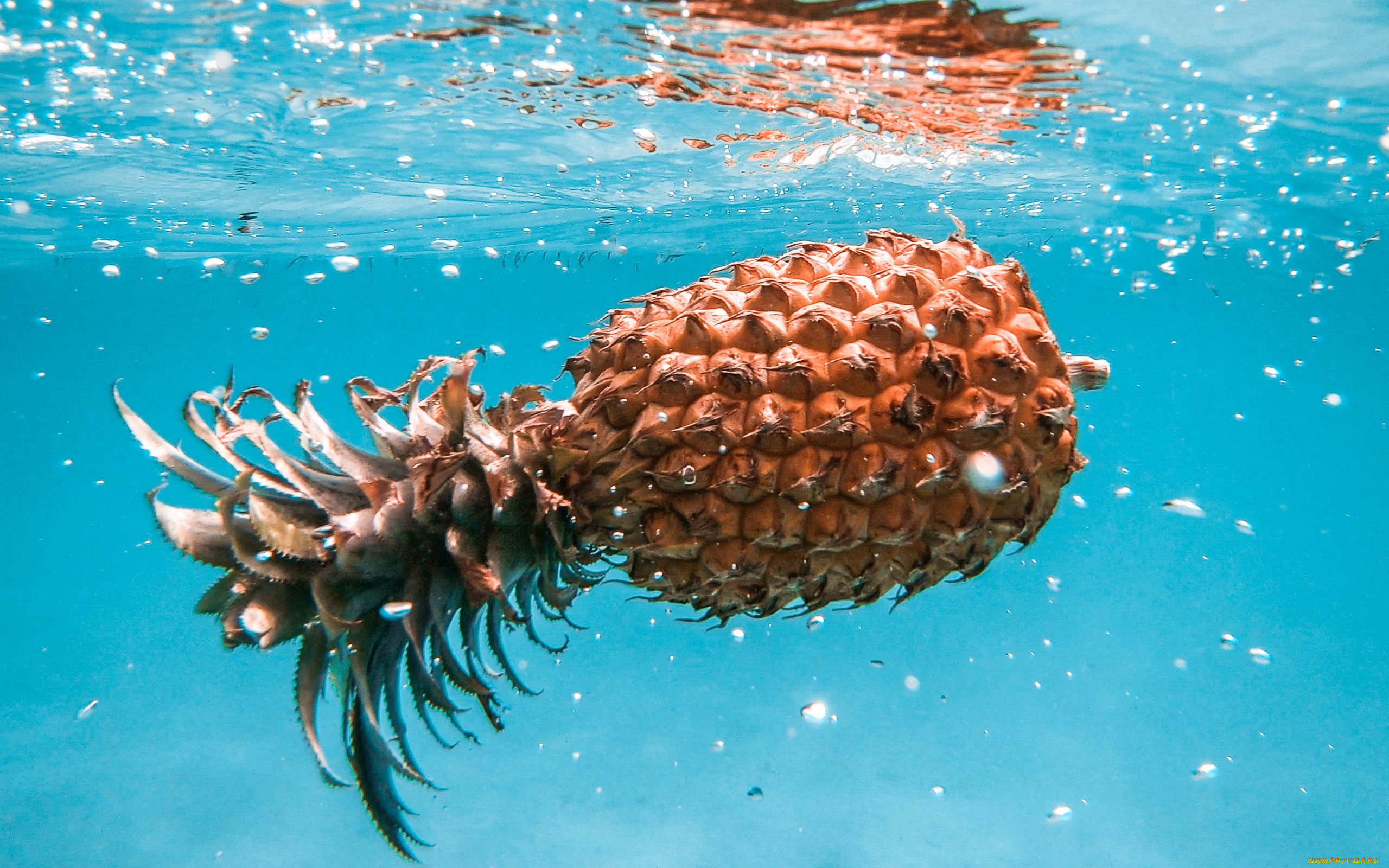 еда, ананас, экзотика