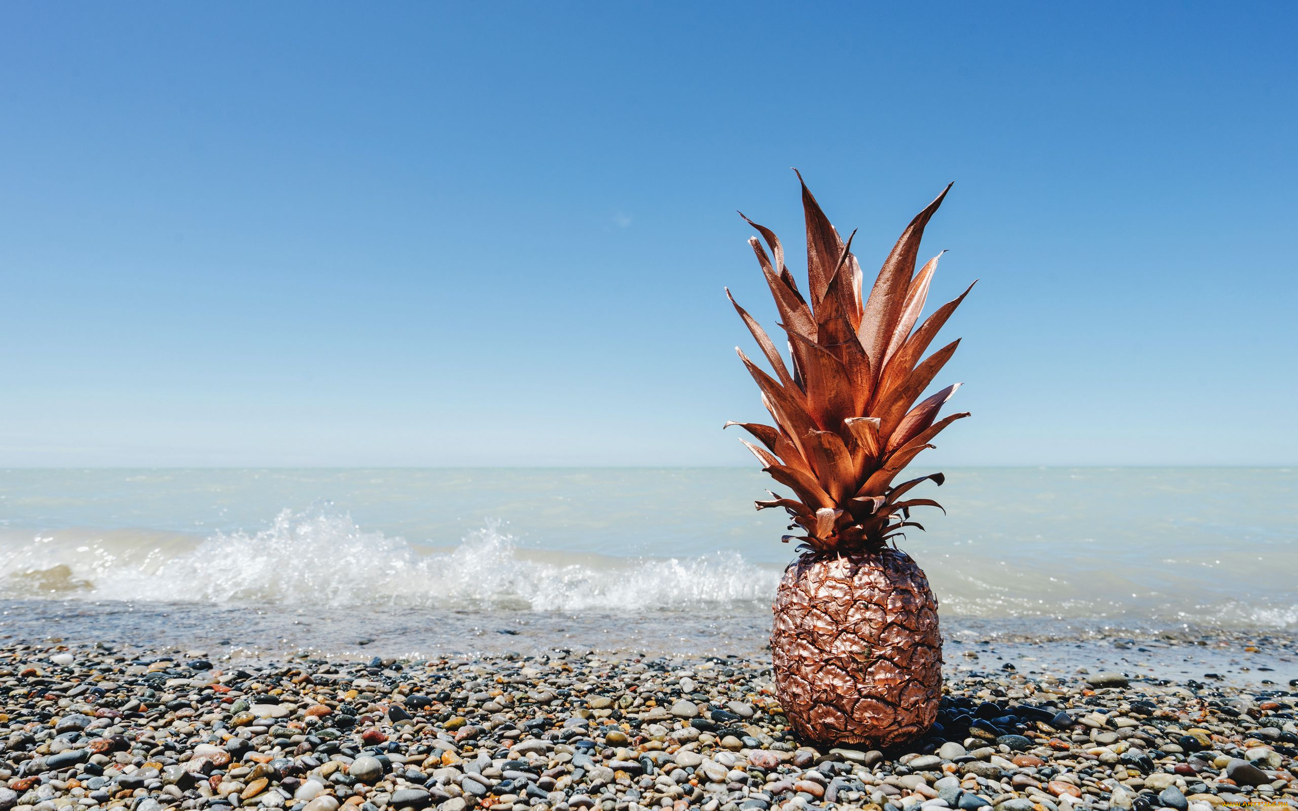 еда, ананас, экзотика