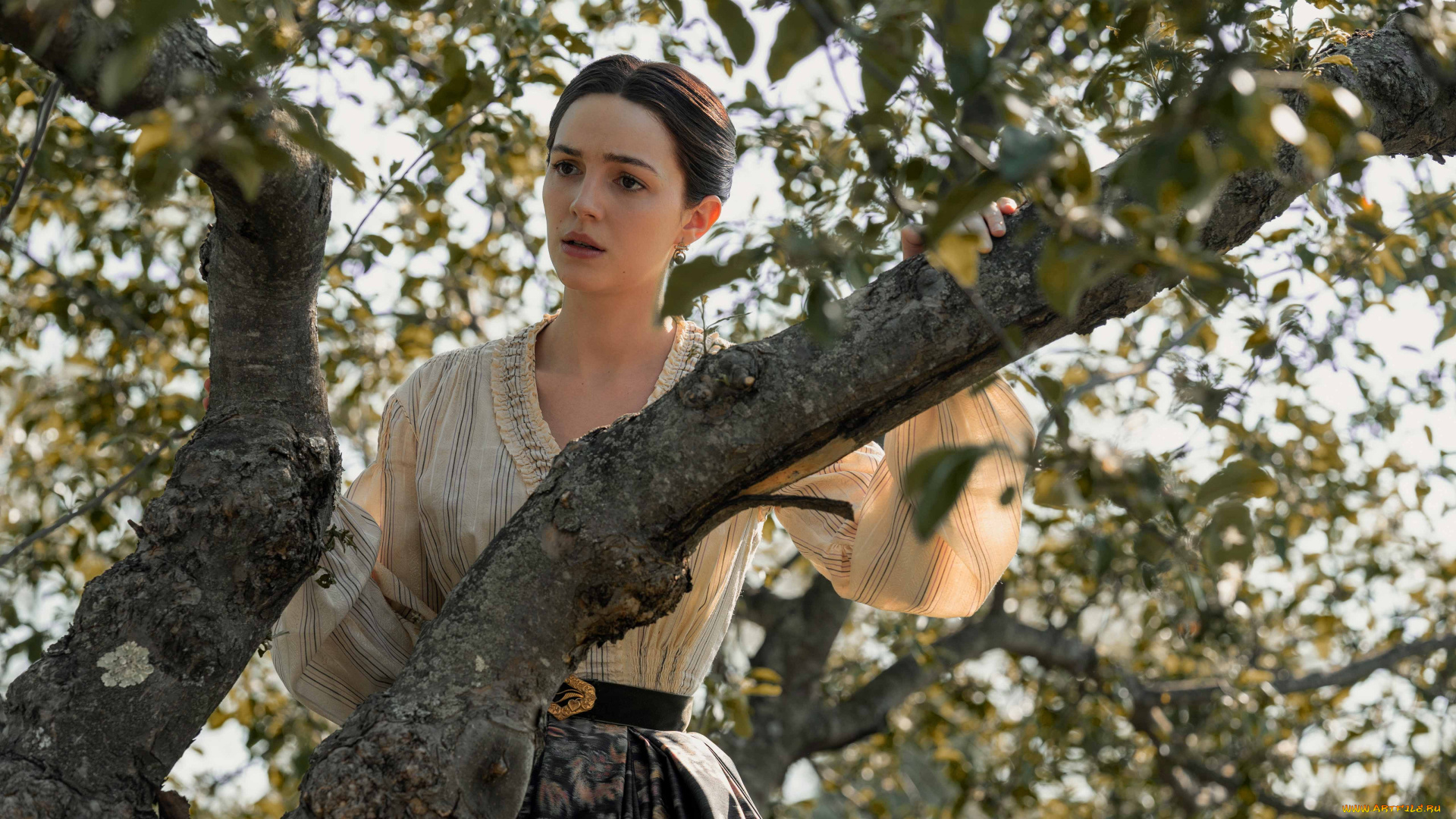 dickinson, , сериал, 2019, –, 2021, кино, фильмы, сериал, элла, хант, биография, драма, комедия, дикинсон, ella, hunt, sue, gilbert