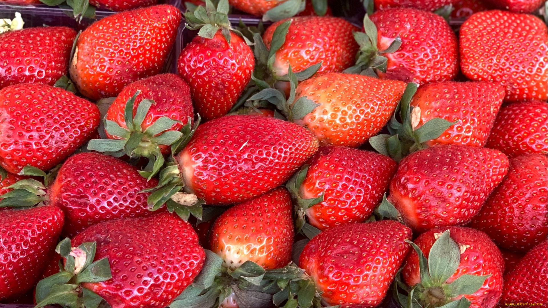 еда, клубника, , земляника, ягоды, много