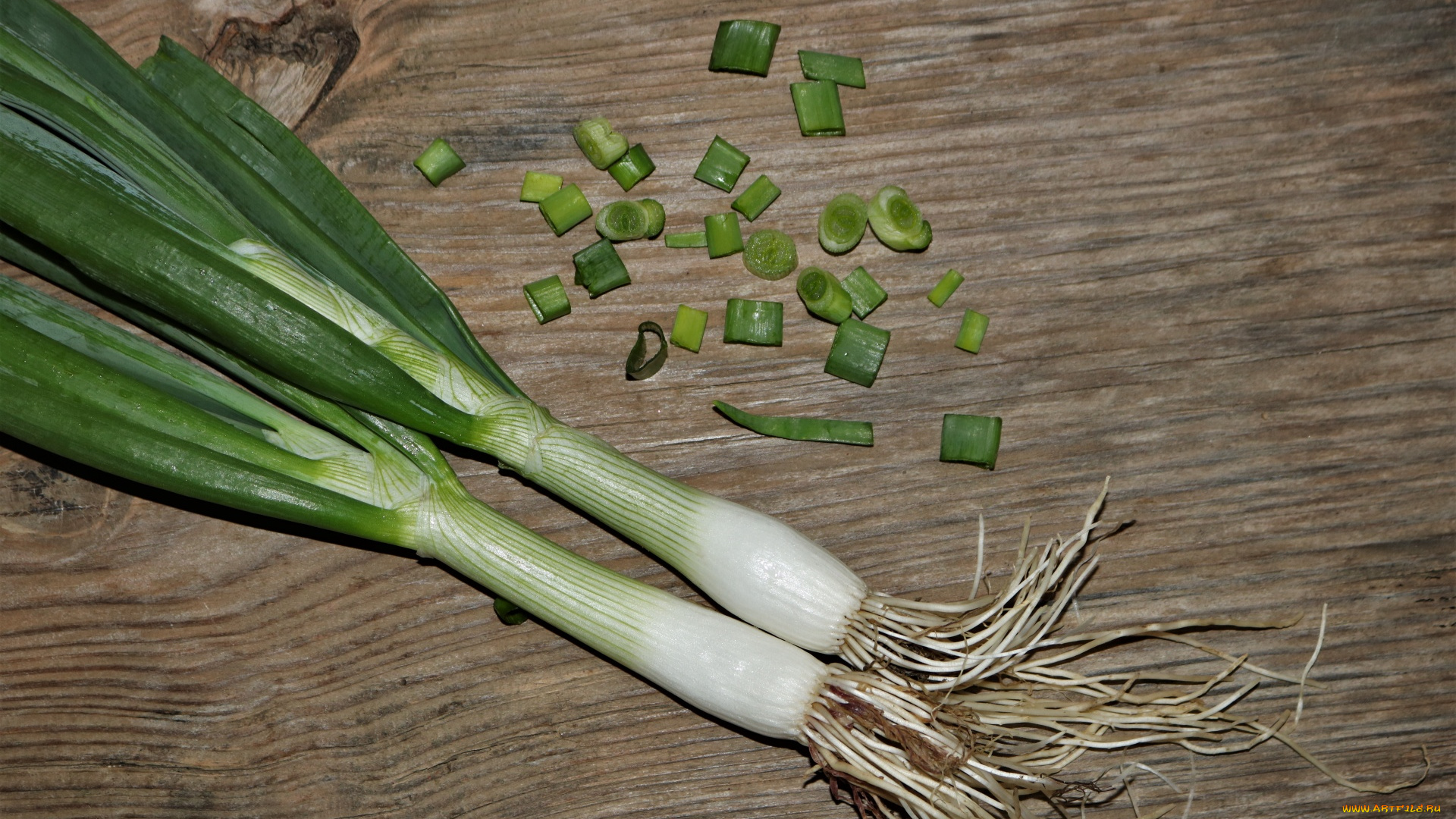 еда, лук, зеленый