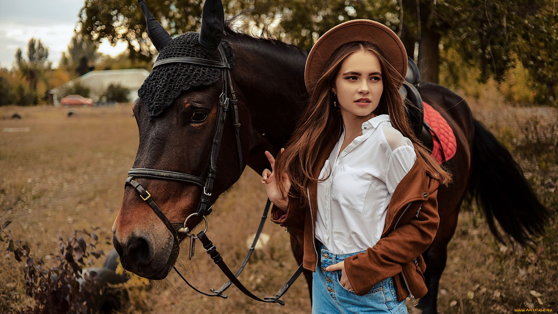 девушки, -, брюнетки, , шатенки, брюнетка, шляпа, джинсы, рубашка, лошадь, кристина, степанова