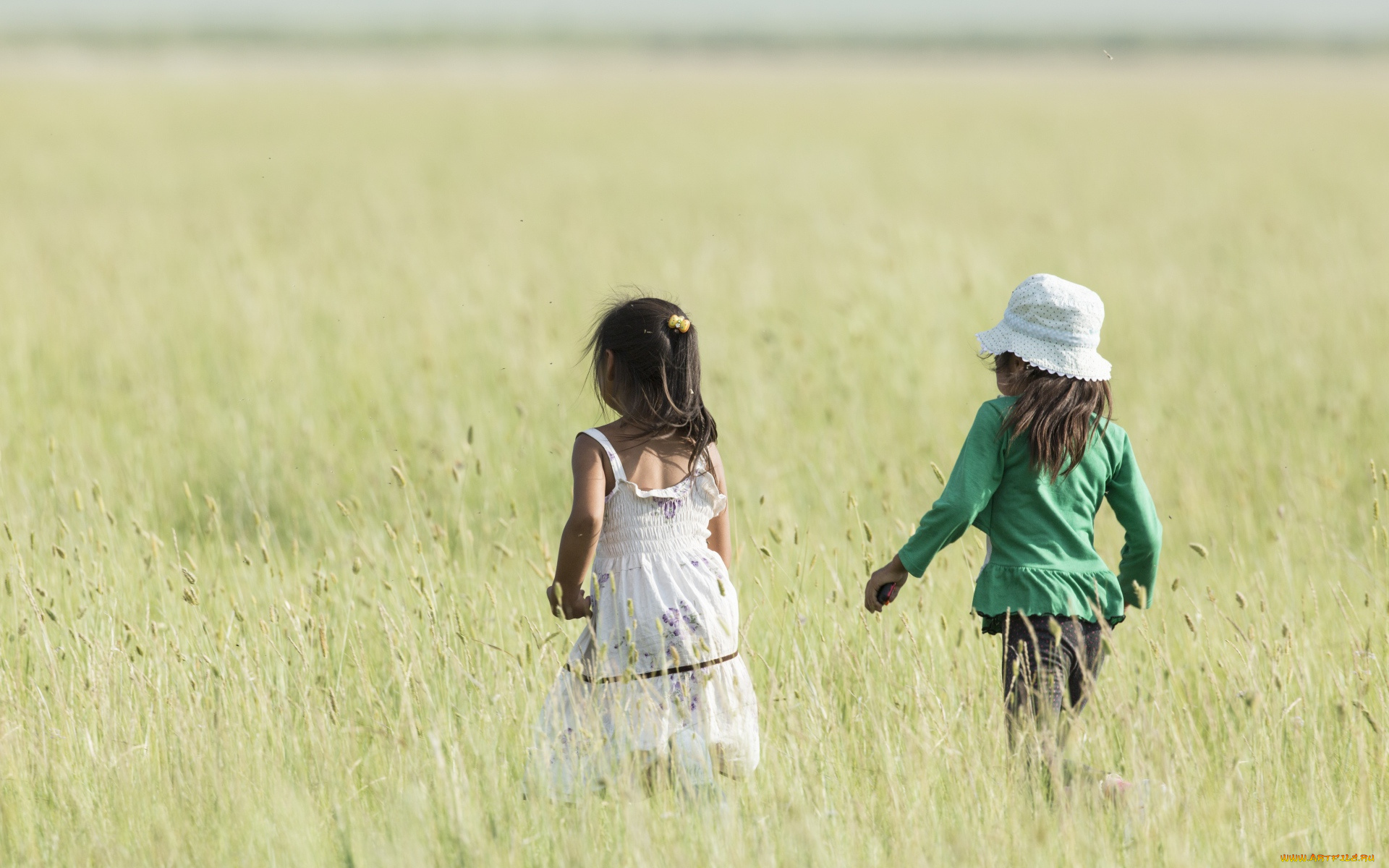 разное, дети, девочки, поле