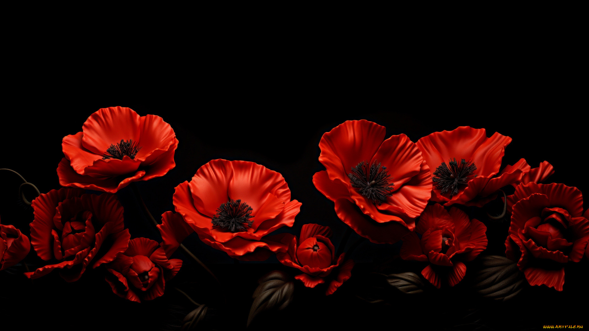3д, графика, цветы, , flowers, цветы, маки, красные, черный, фон, композиция