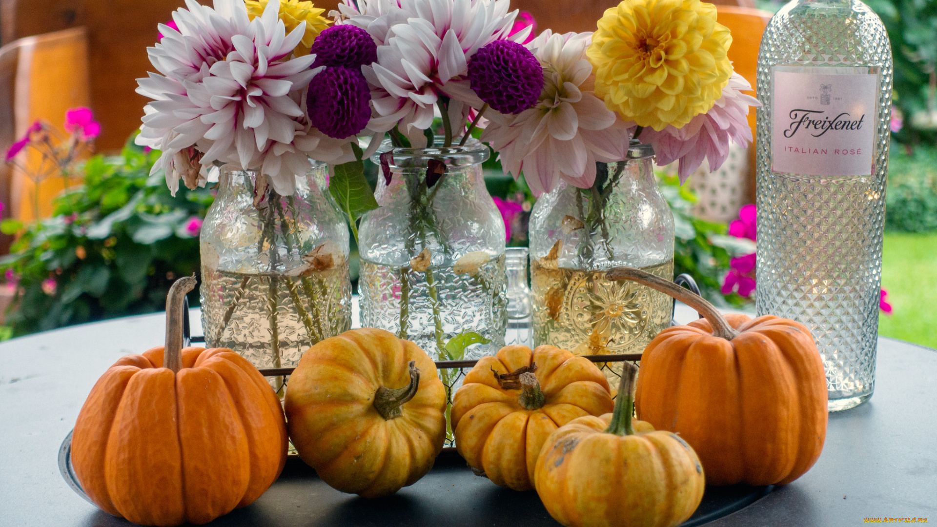 еда, тыква, тыковки