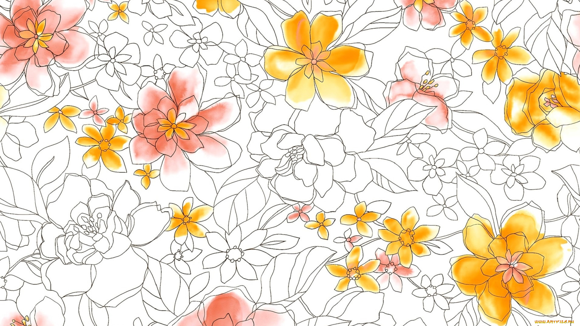 рисованное, цветы, контуры