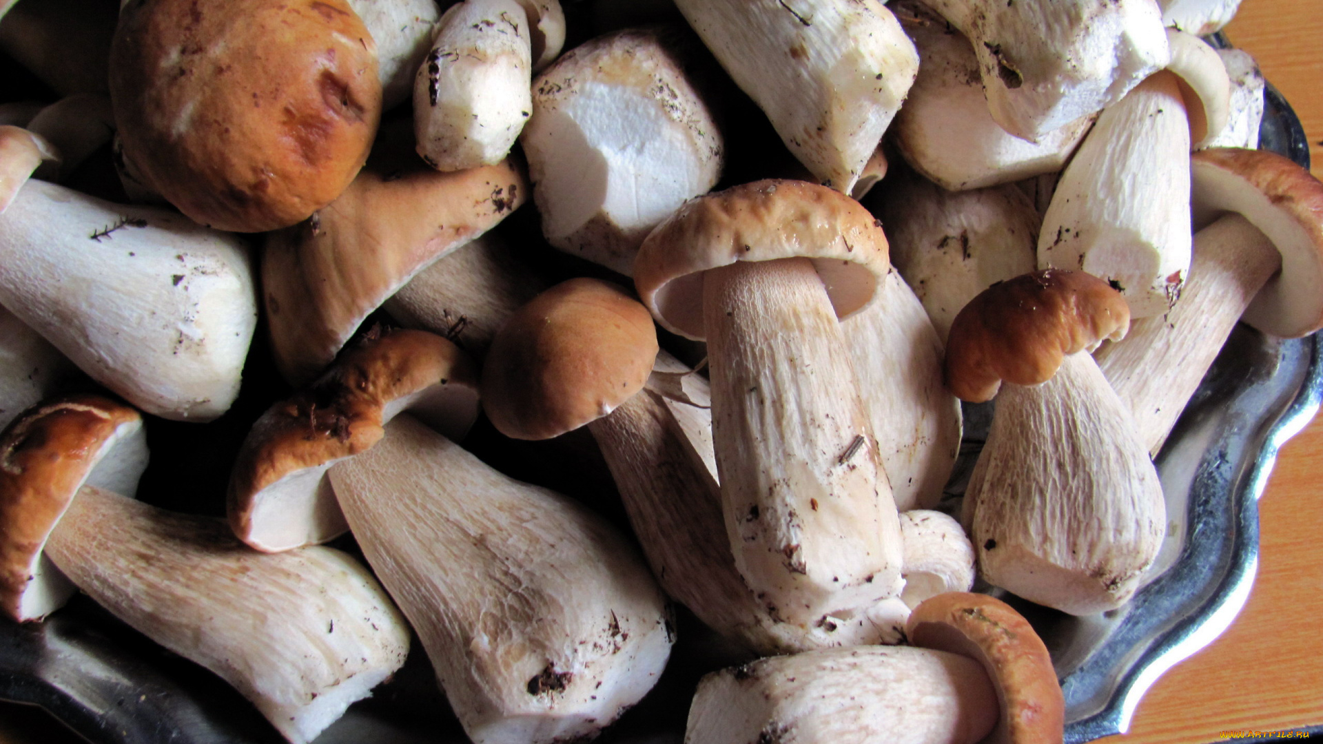 еда, грибы, , грибные, блюда, лесные, боровики