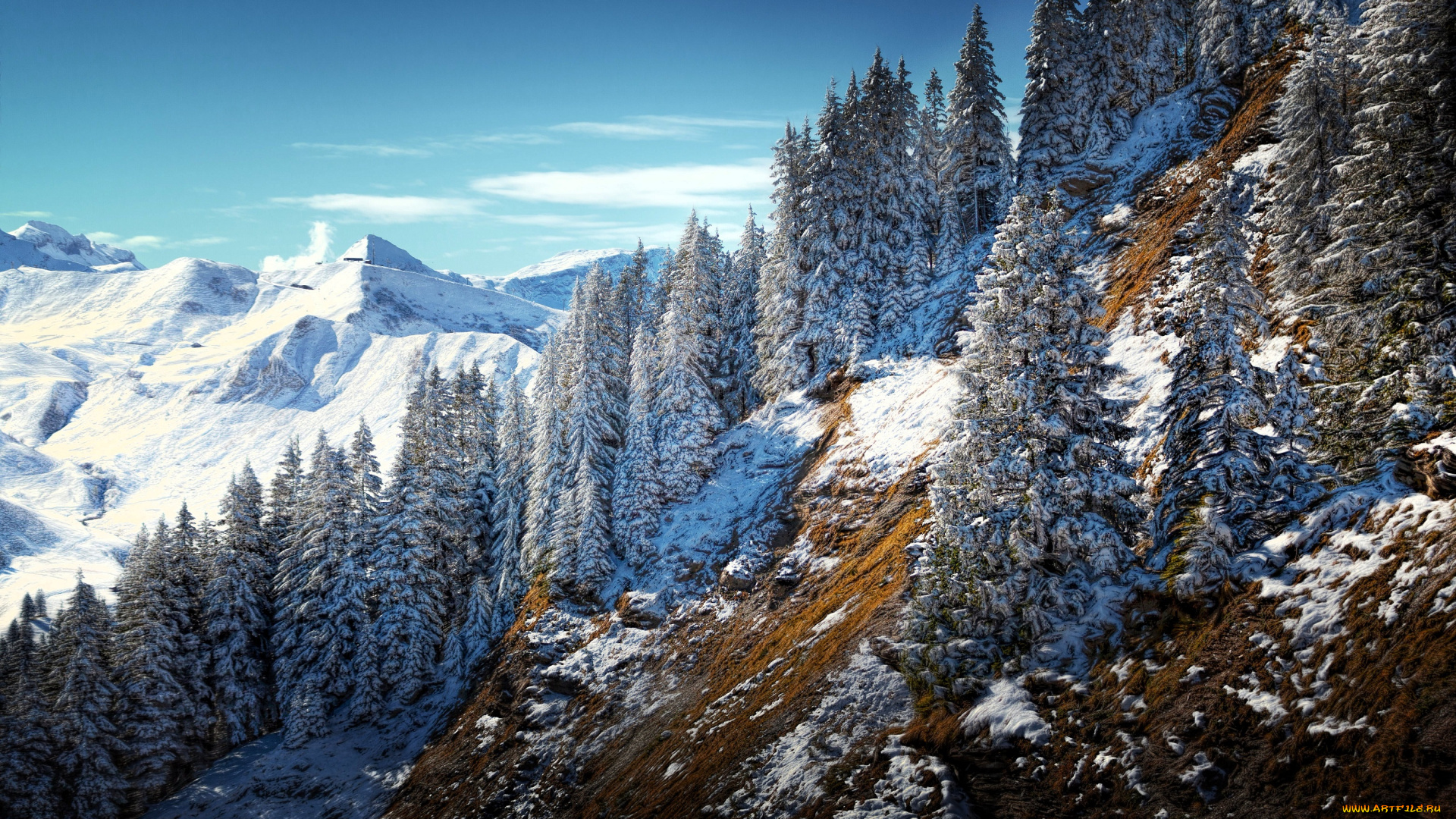 природа, горы, лес, снег