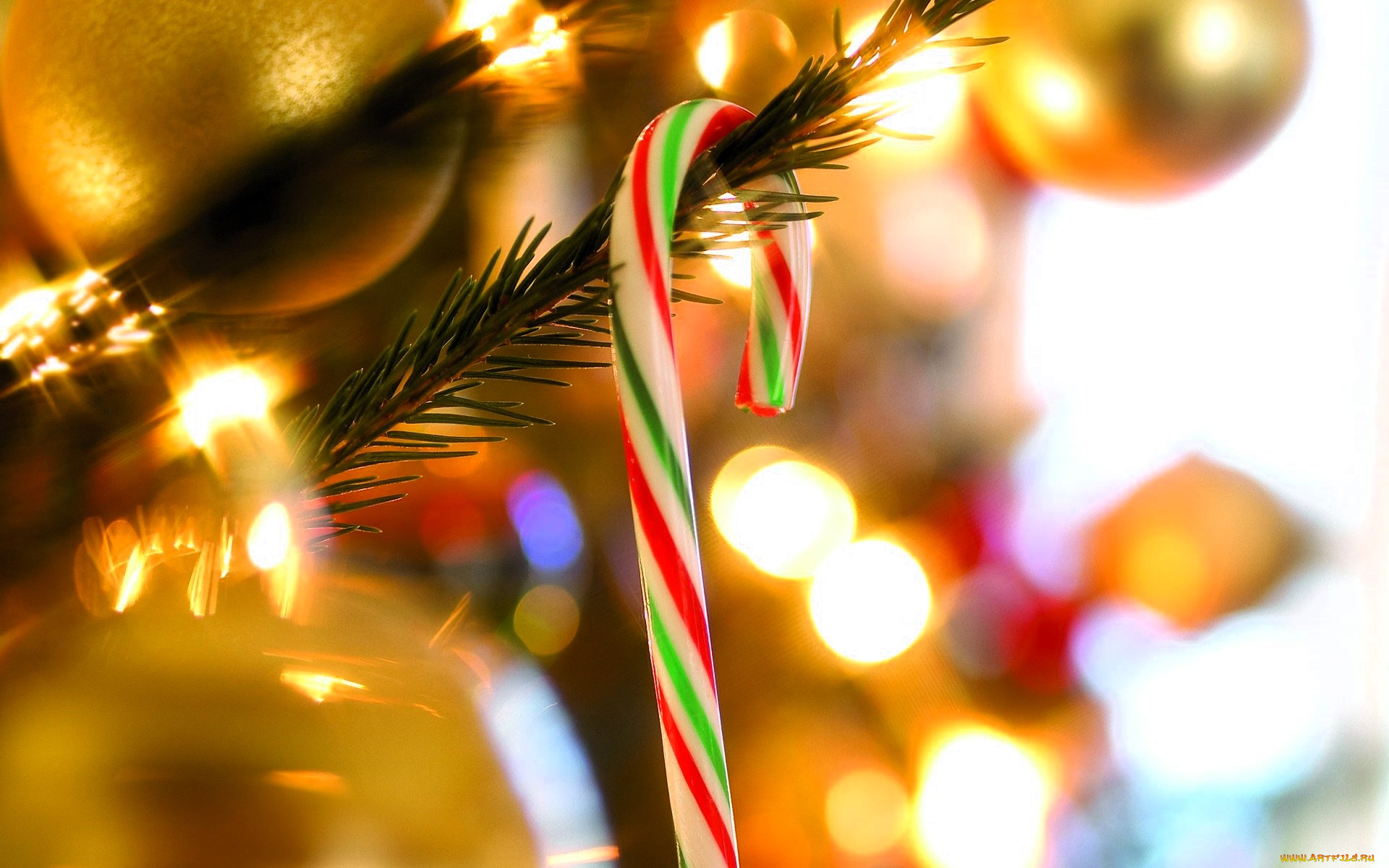 праздничные, украшения, ёлка, ветка, леденец