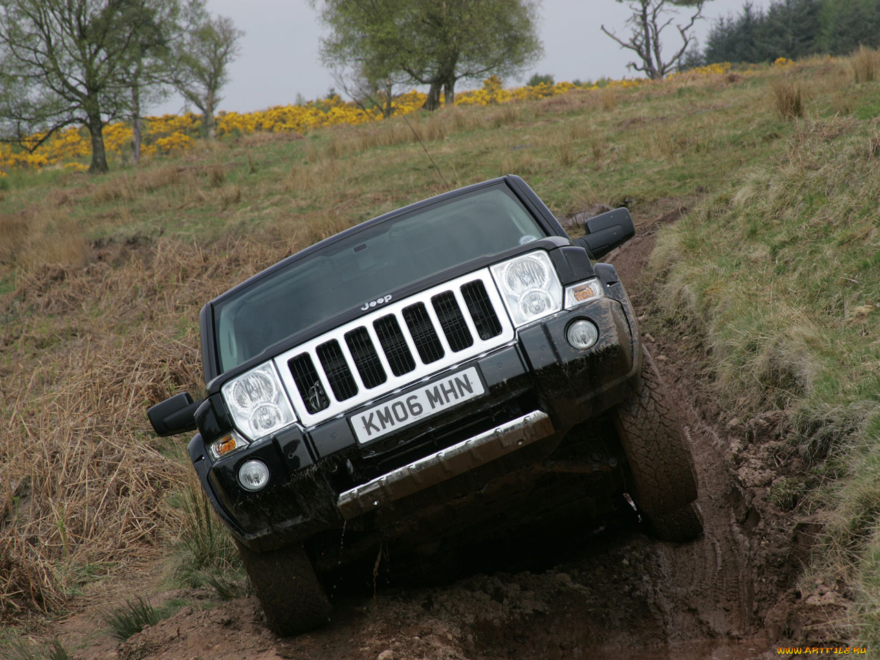 автомобили, jeep