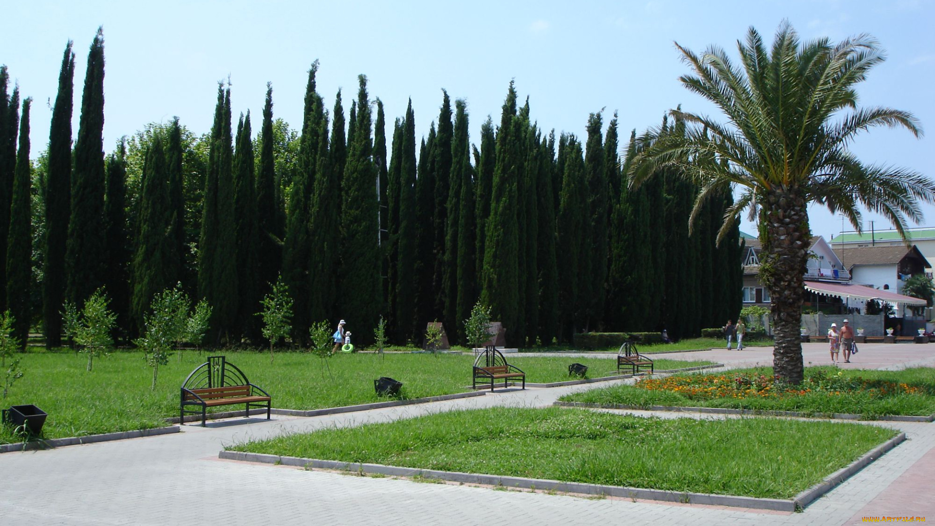 адлер, природа, парк