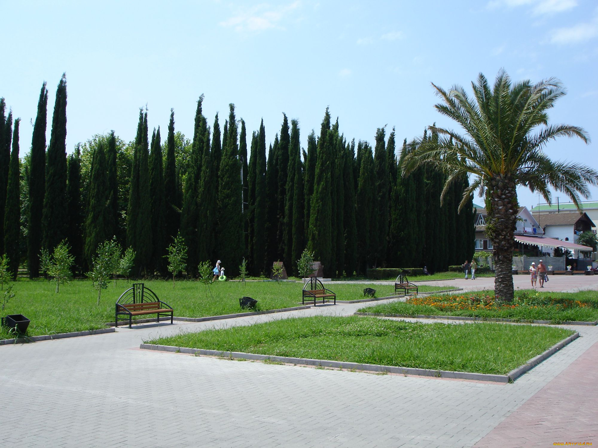 адлер, природа, парк