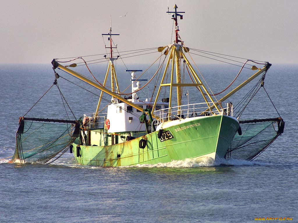 корабли, другое