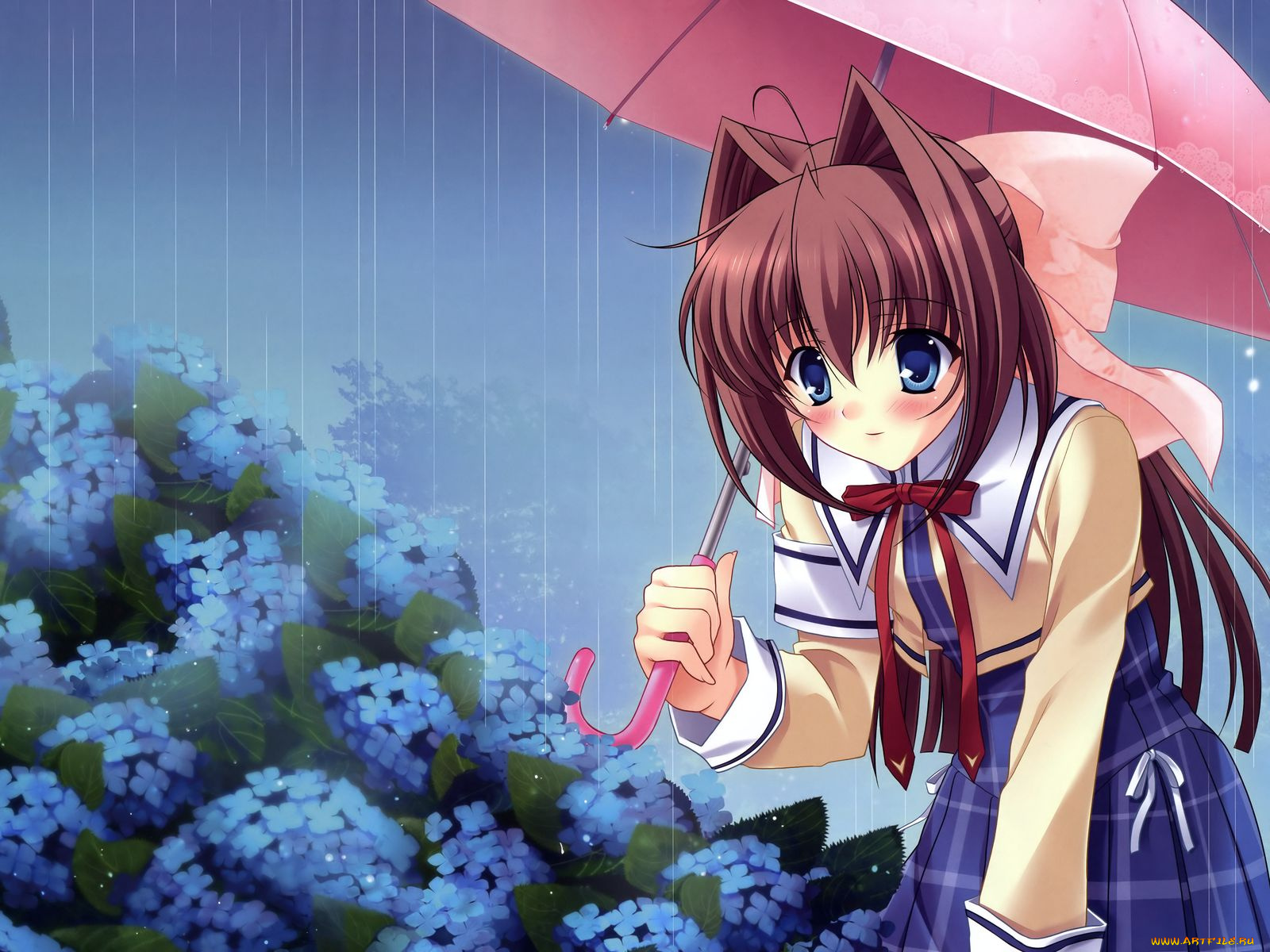 аниме, da, capo