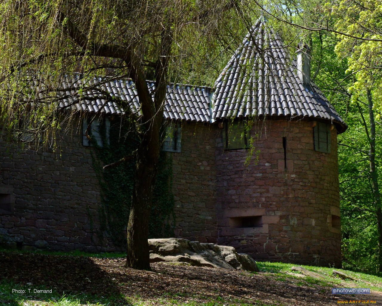 castle, haut, koenigsbourg, города, дворцы, замки, крепости