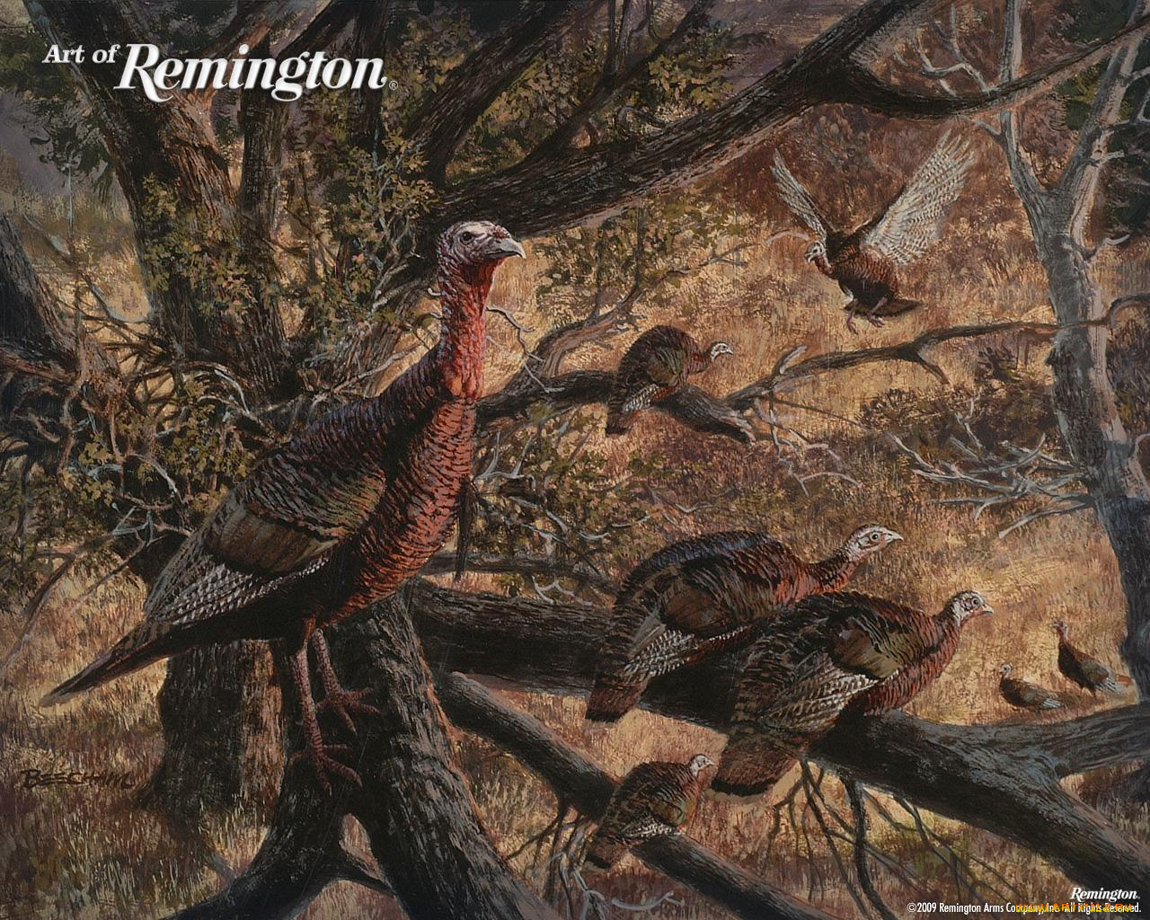 рисованные, животные