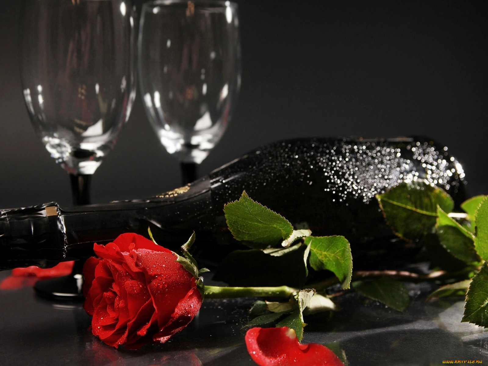 цветы, розы